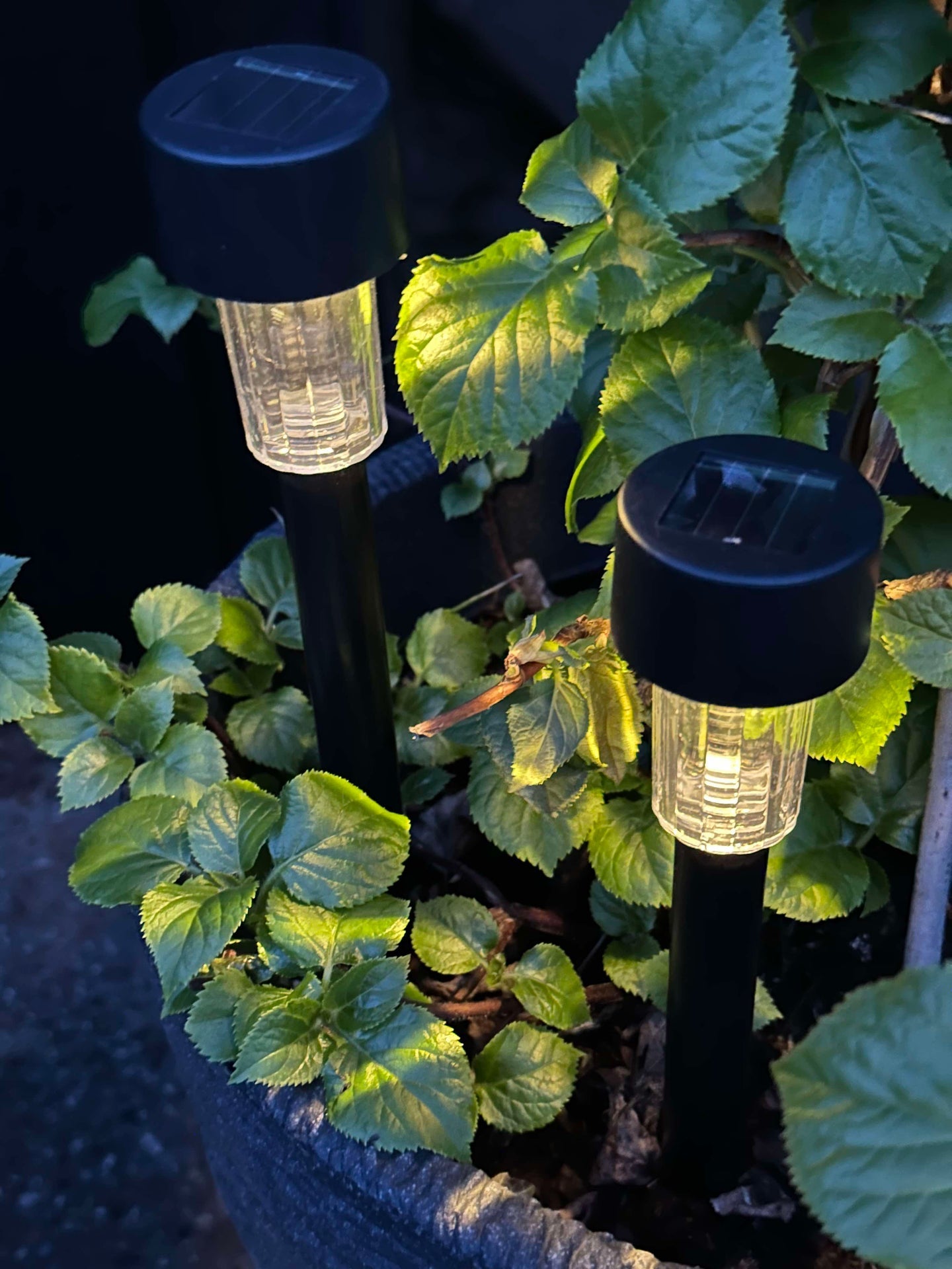 Fakkel Effekt Black – Sett med 4 stk