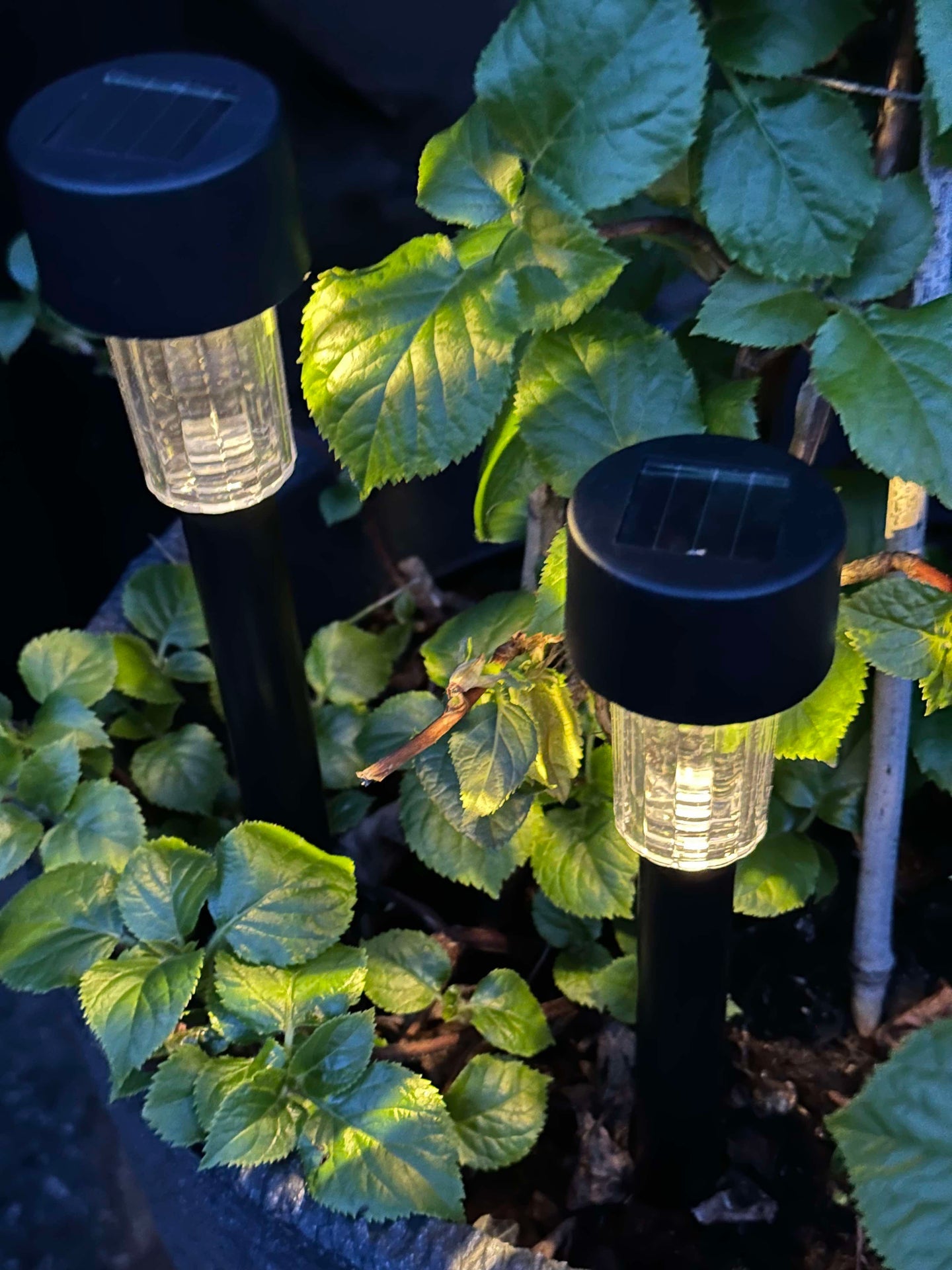 Fakkel Effekt Black – Sett med 4 stk