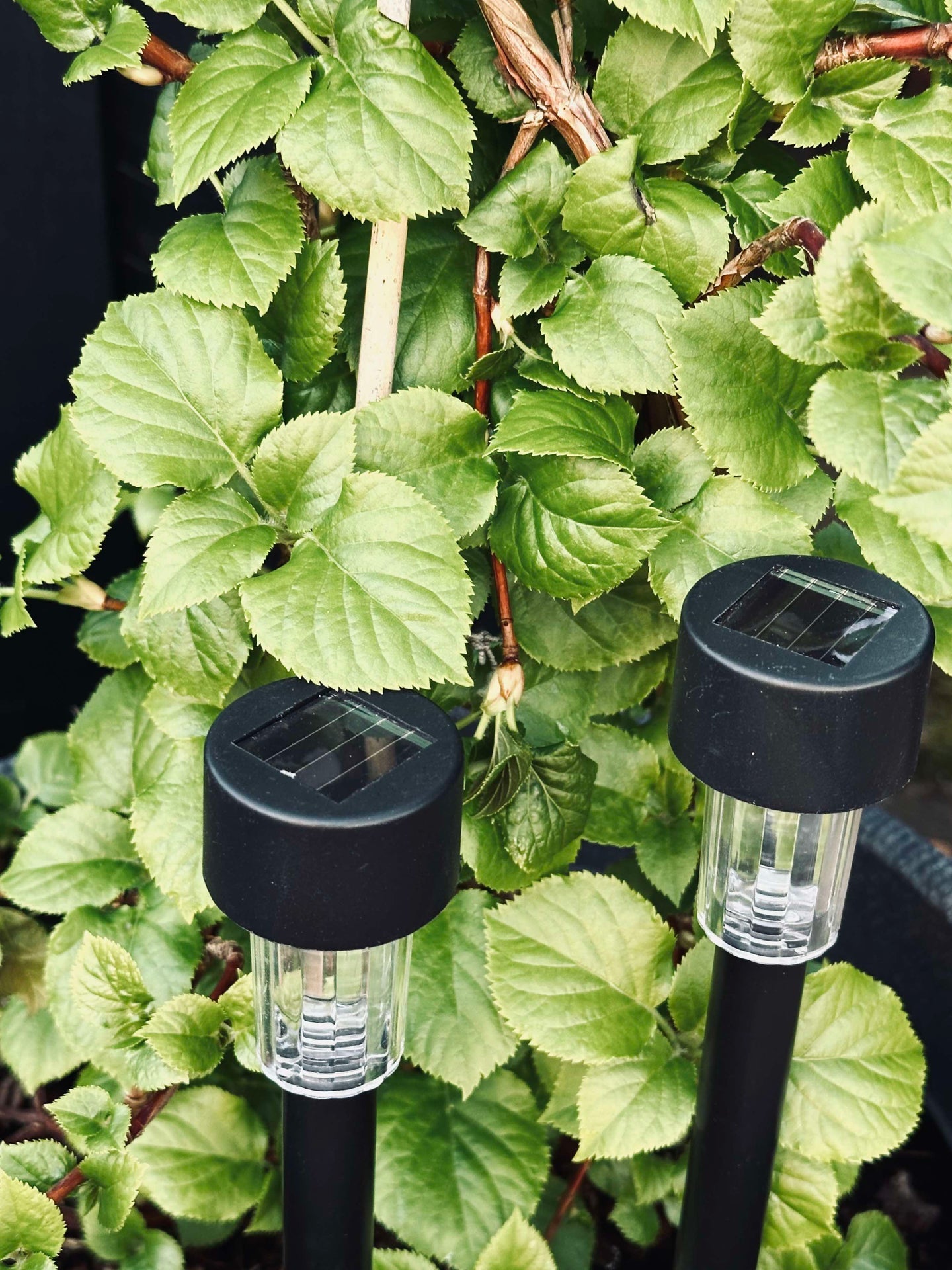 Fakkel Effekt Black – Sett med 4 stk