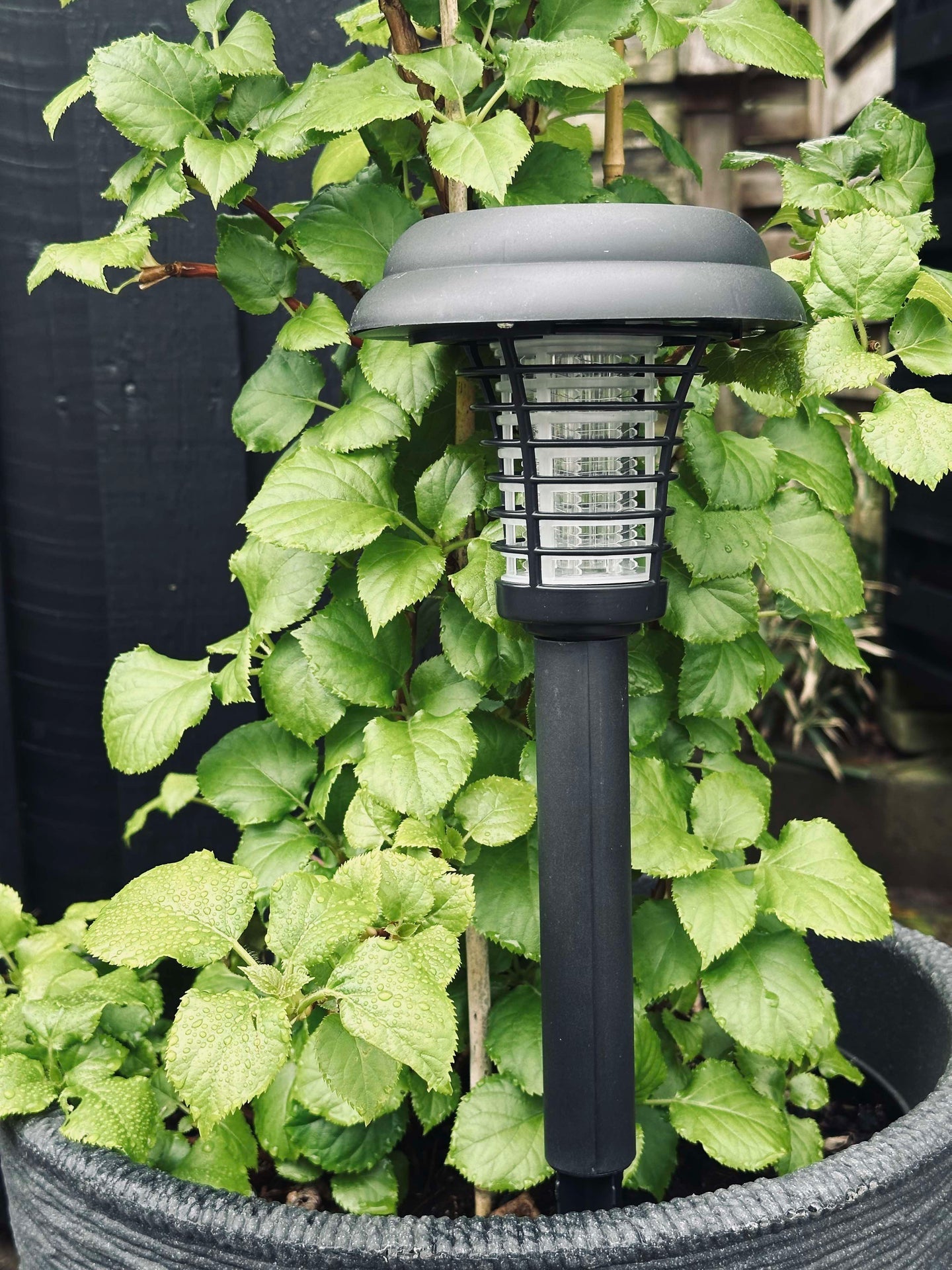 Fakkel MOSQUITO 2IN1 SOLAR