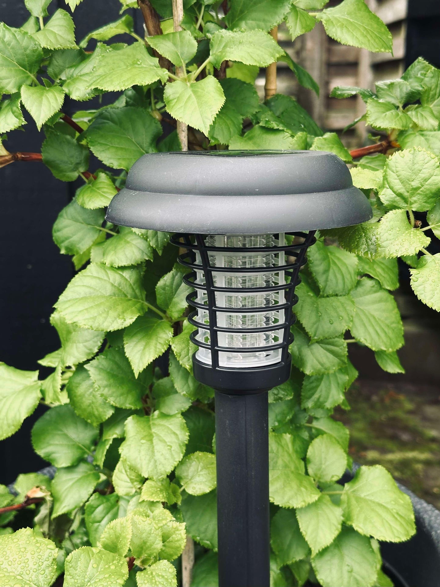 Fakkel MOSQUITO 2IN1 SOLAR