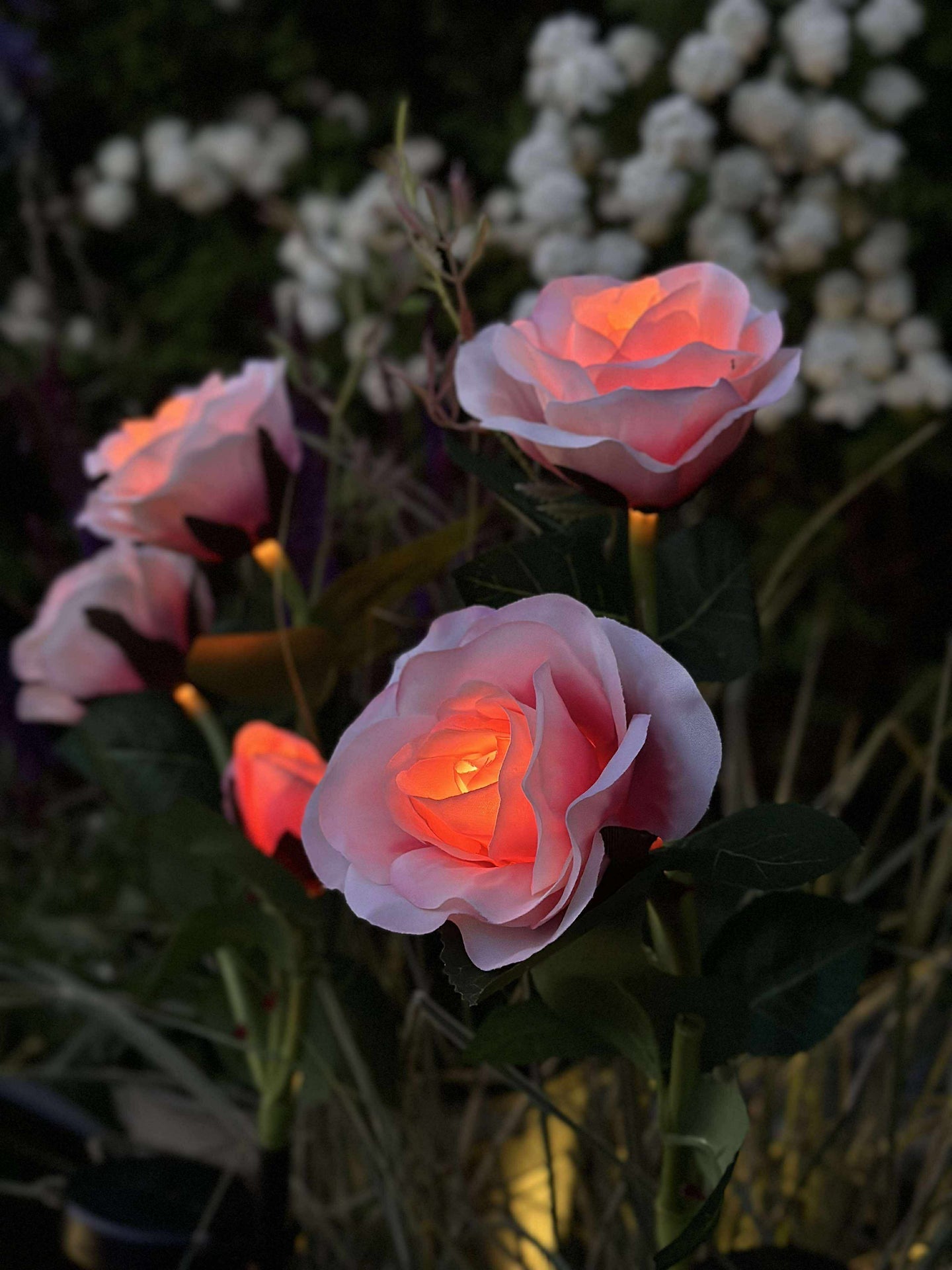 Rose med solceller - Rosa
