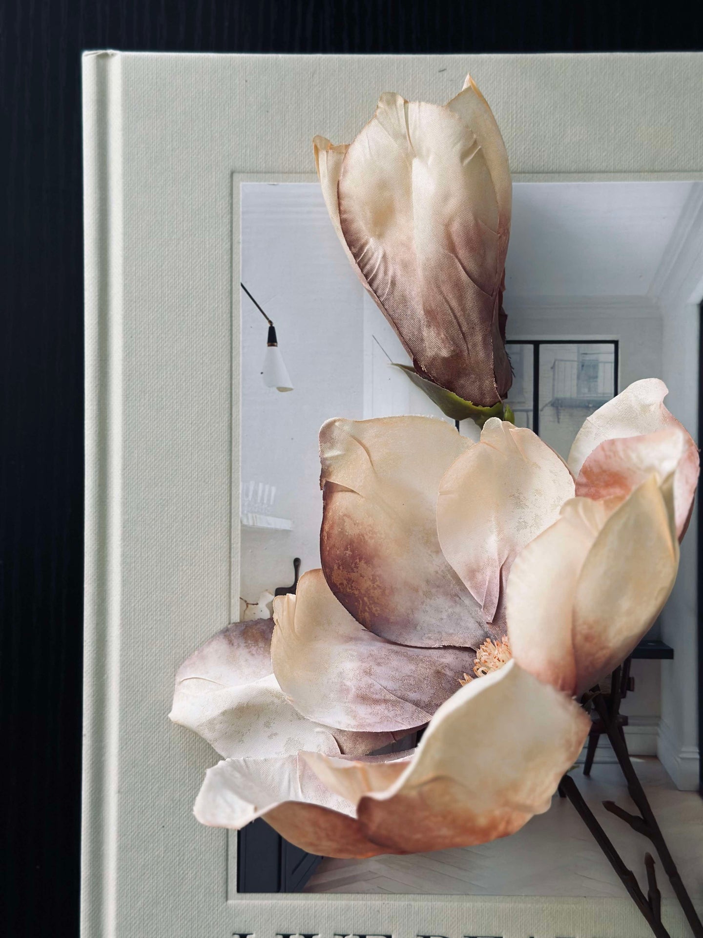 Magnolia stilk