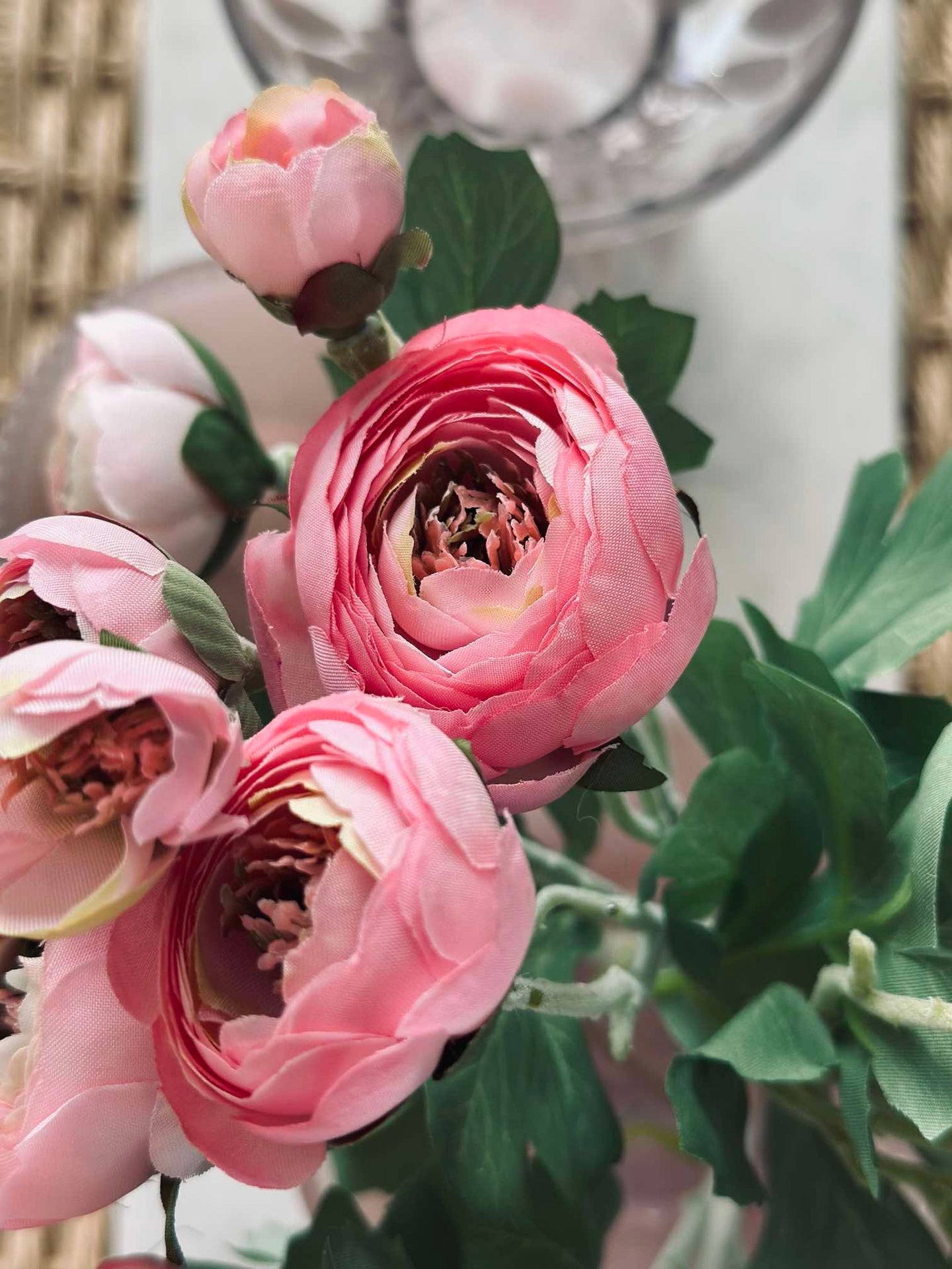 Blomst Ranunkel stilk