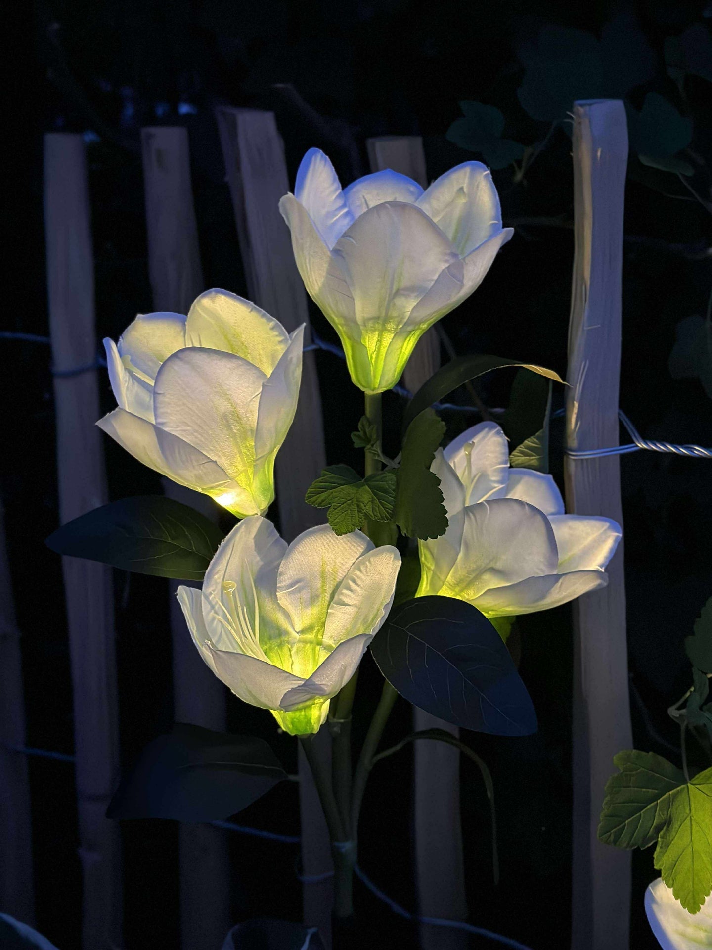Magnolia med solceller - Hvit