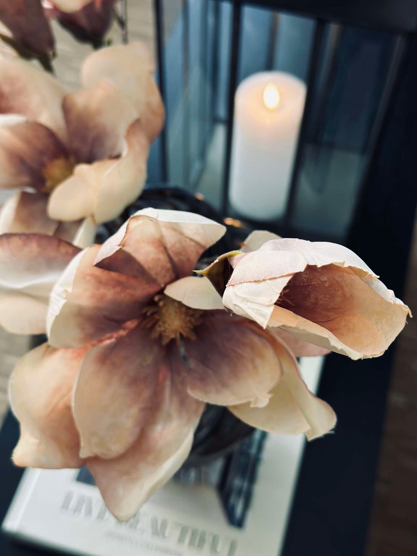 Magnolia stilk