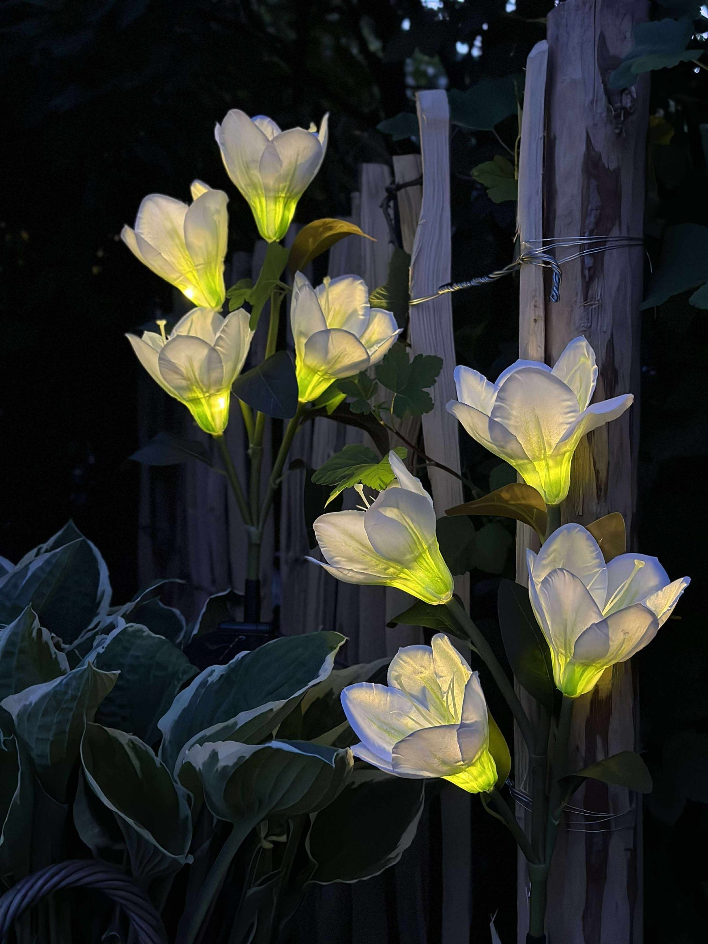 Magnolia med solceller - Hvit