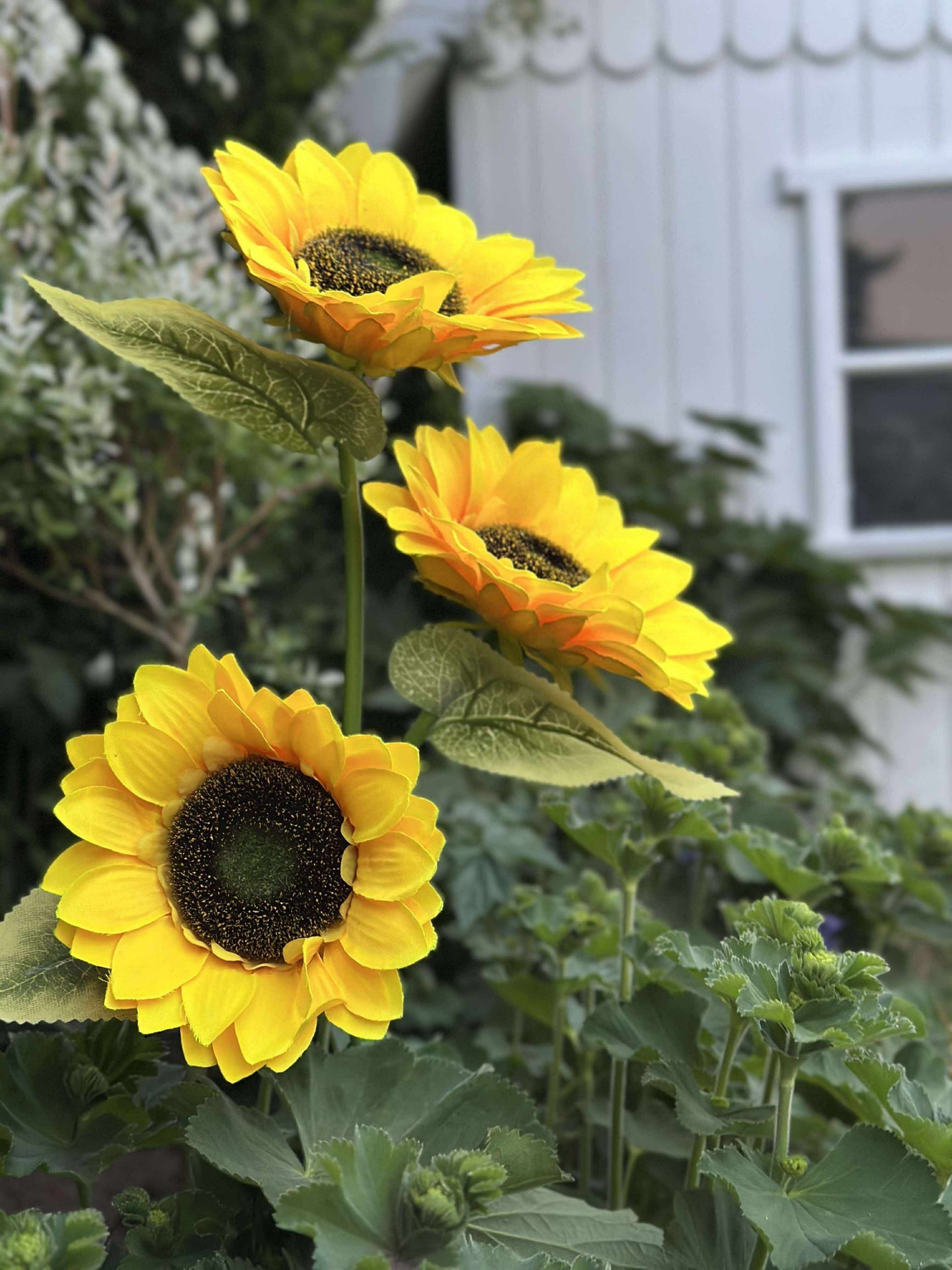 Solsikke med solceller