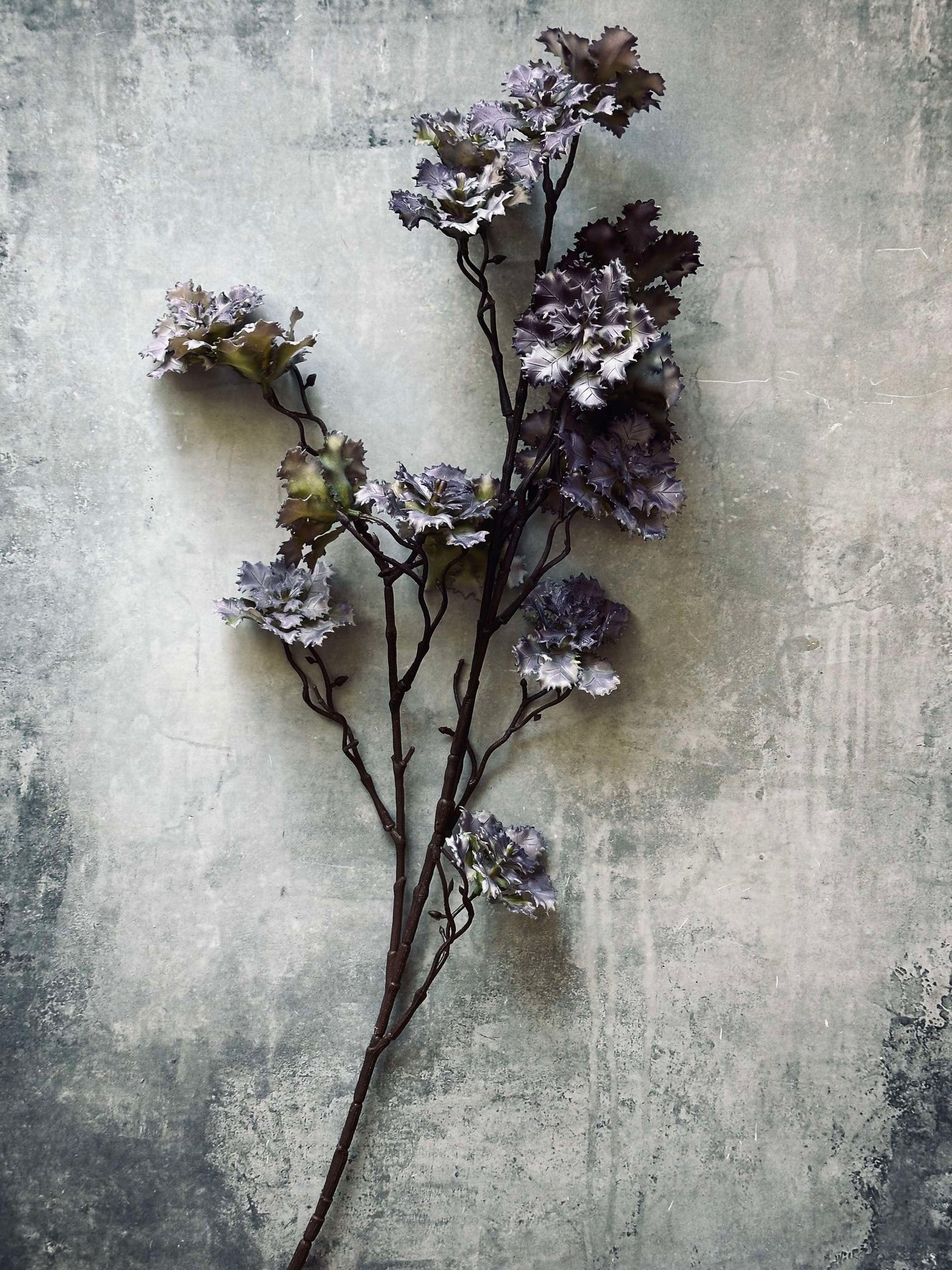 Blomst nellike