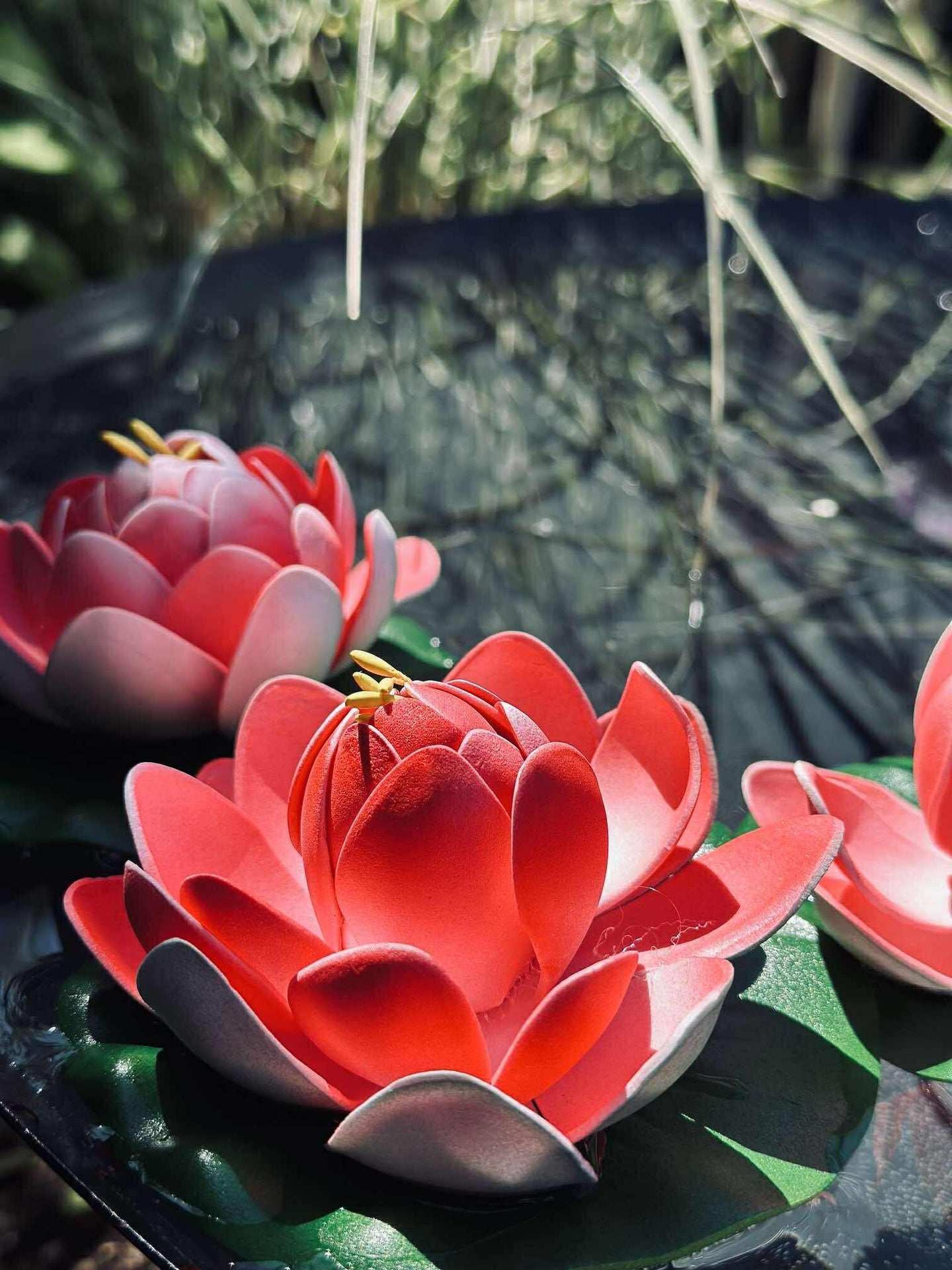 Lotus - Flere farger