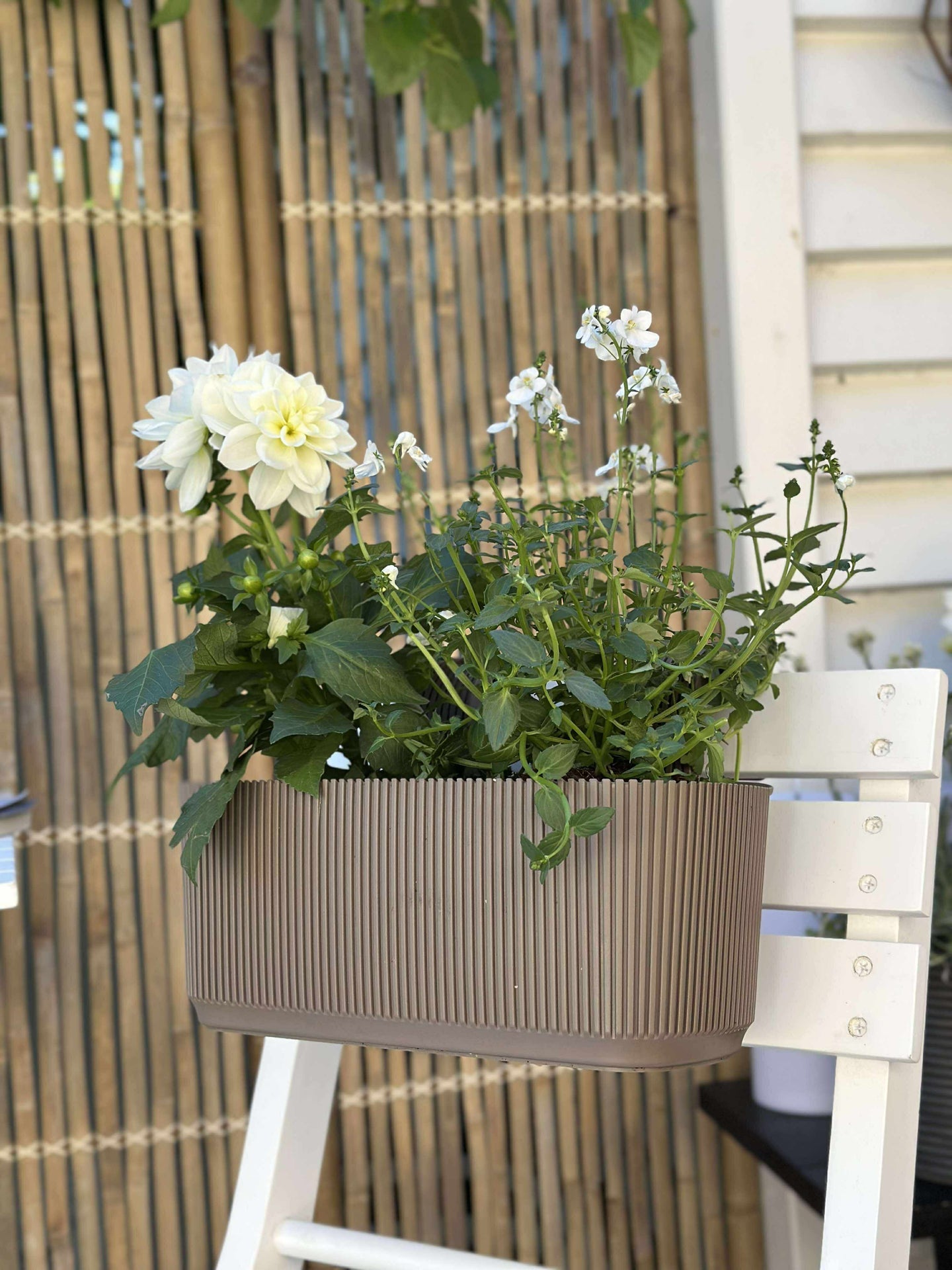 Plantekasse med oppheng - Beige