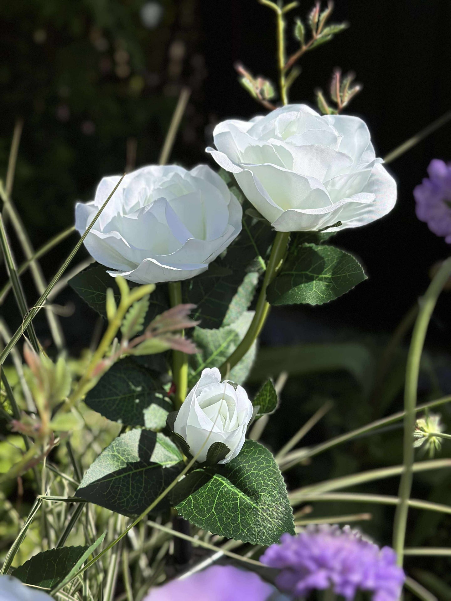 Rose med solceller - Hvit