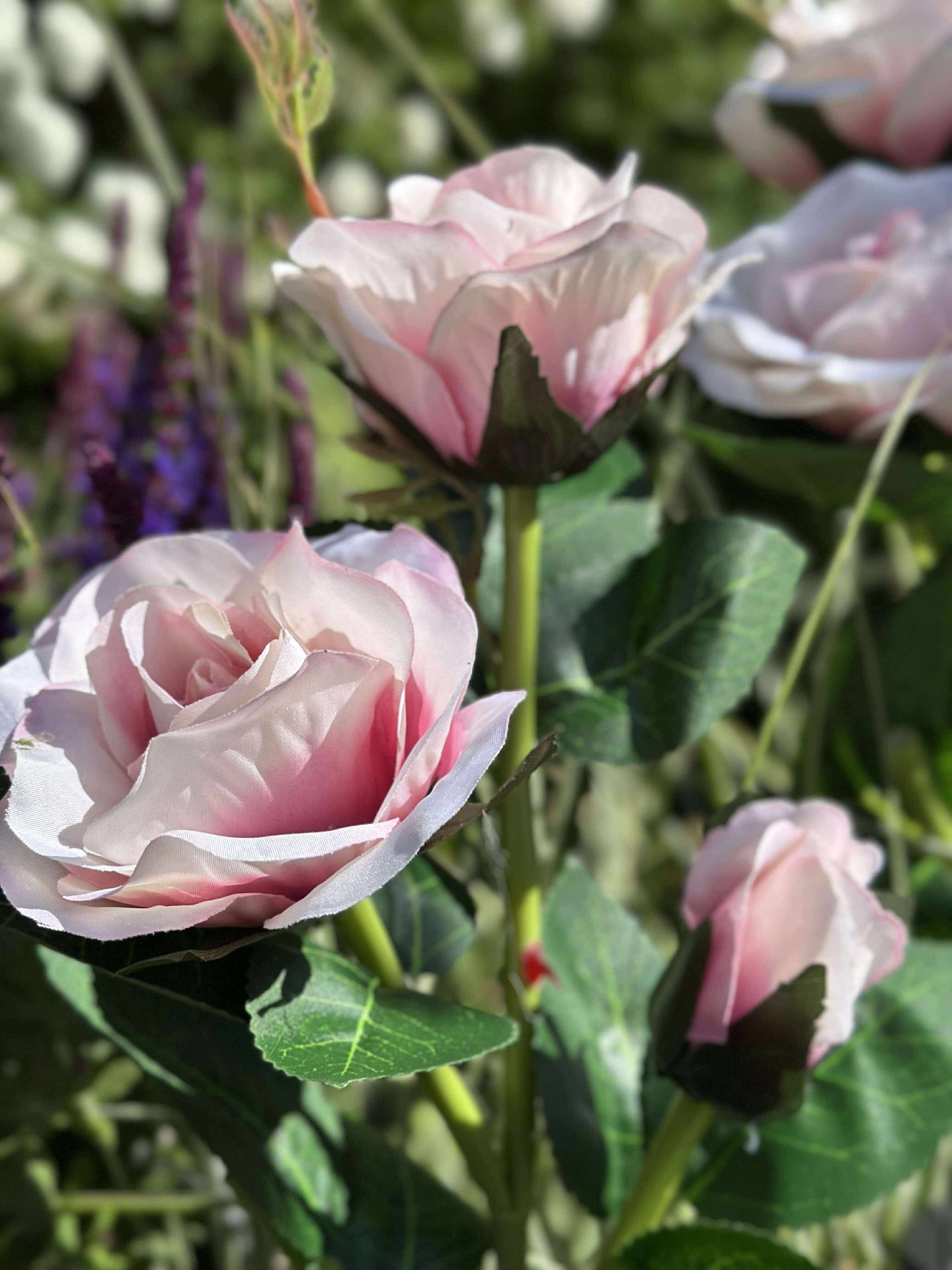 Rose med solceller - Rosa