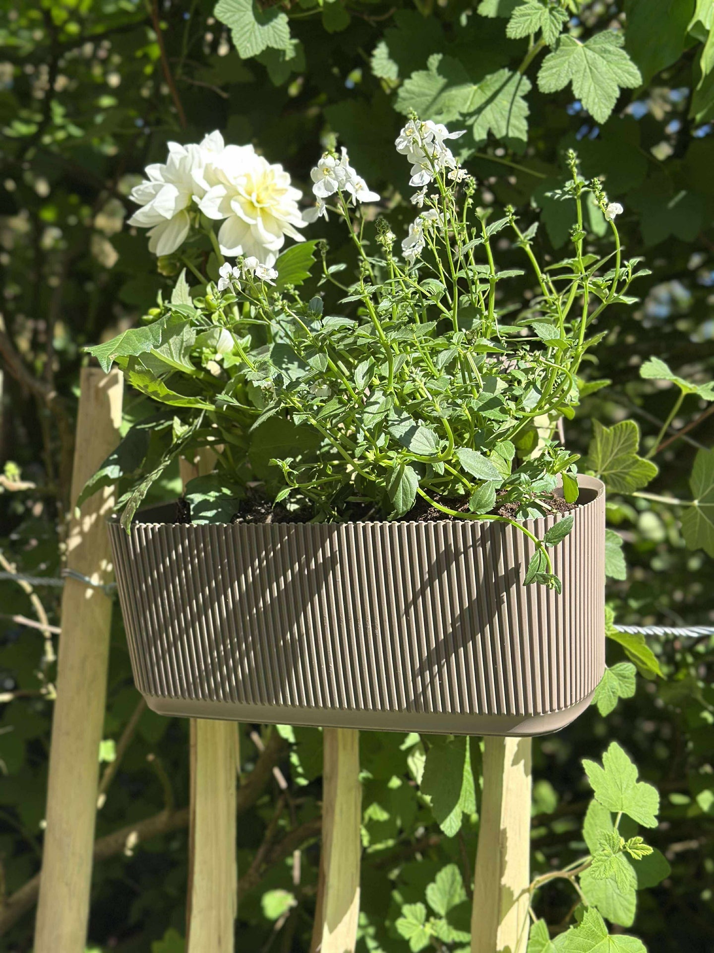 Plantekasse med oppheng - Beige
