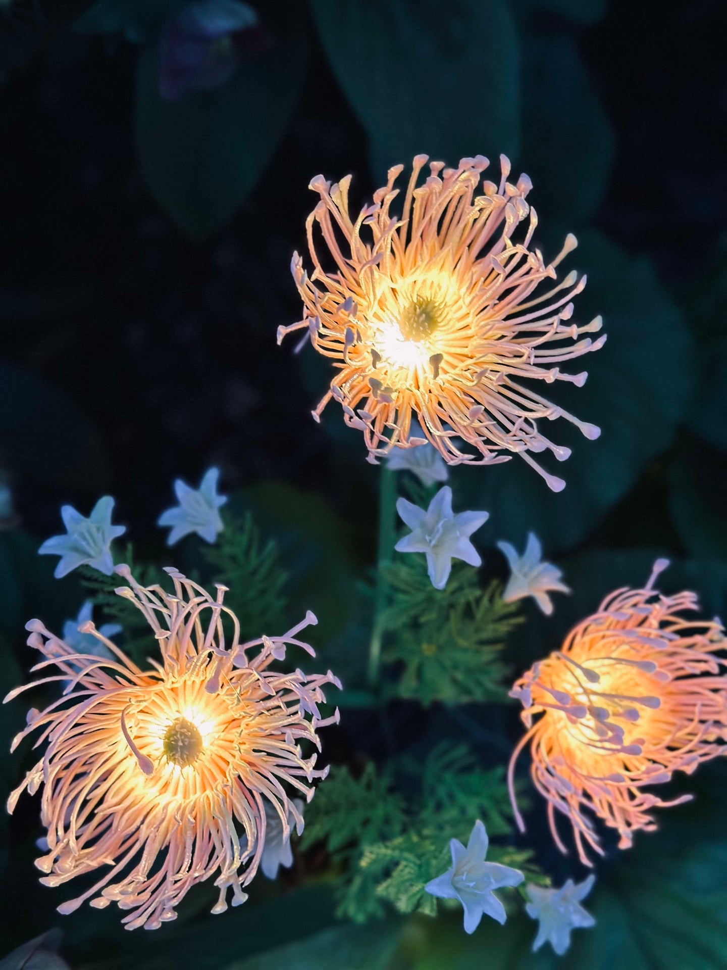 Blomst med solceller - Spider Lili rose