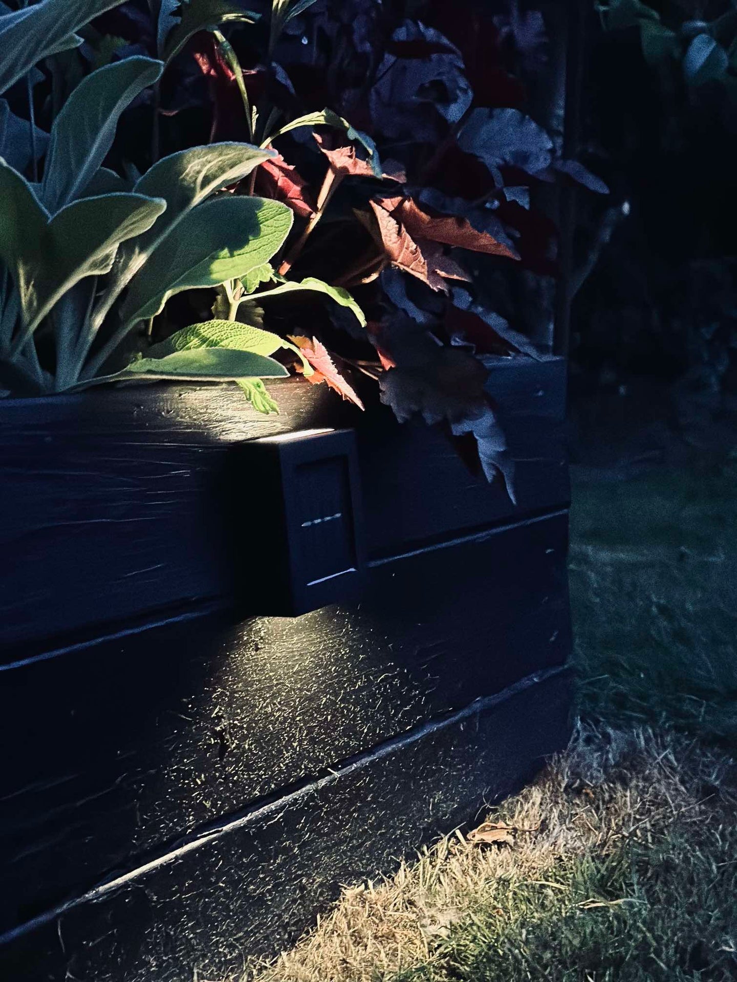 Aura Solar Lampe - 2-pak