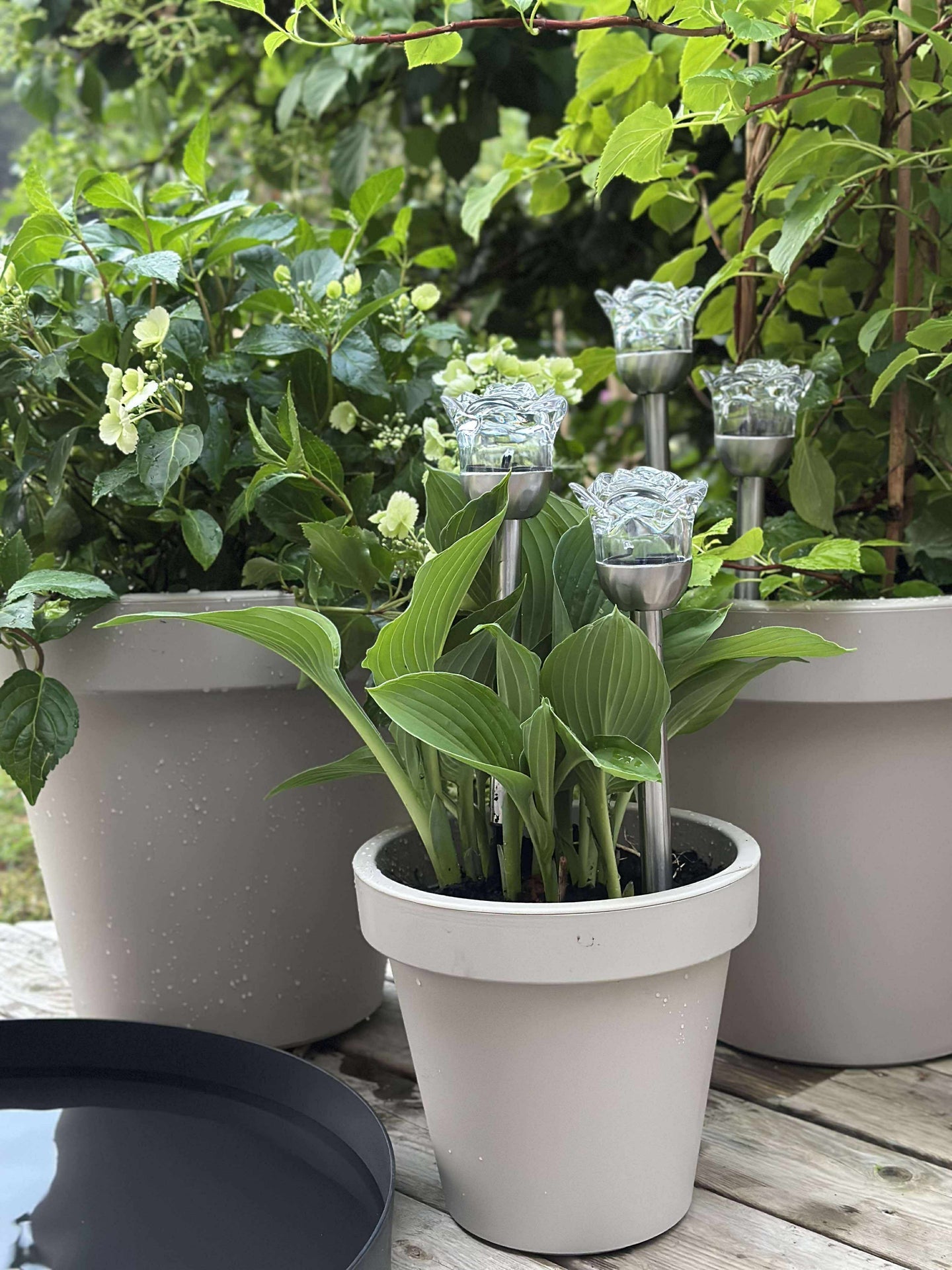 Fakkel med solceller FLOWER – Sett med 4 stk