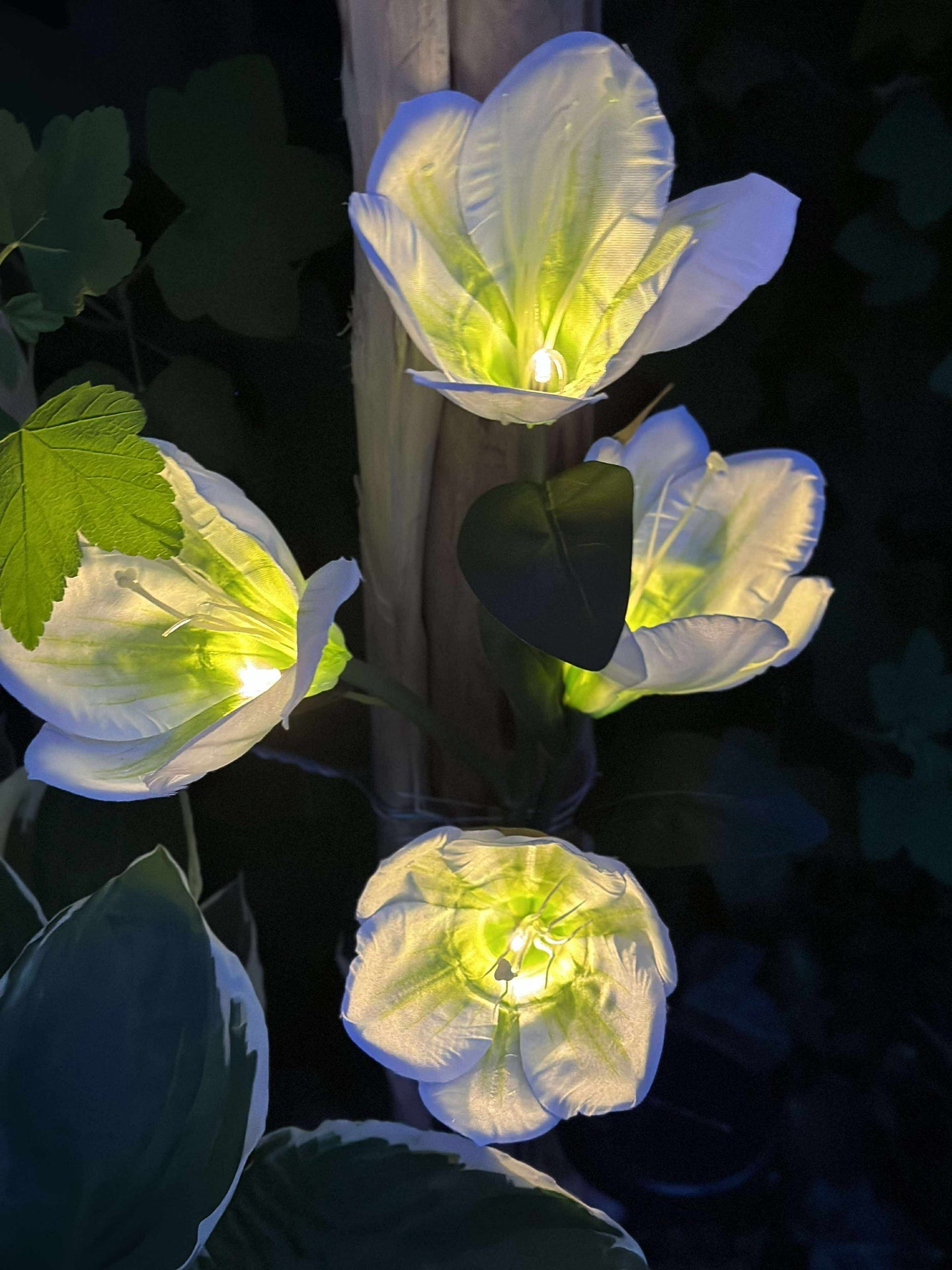 Magnolia med solceller - Hvit