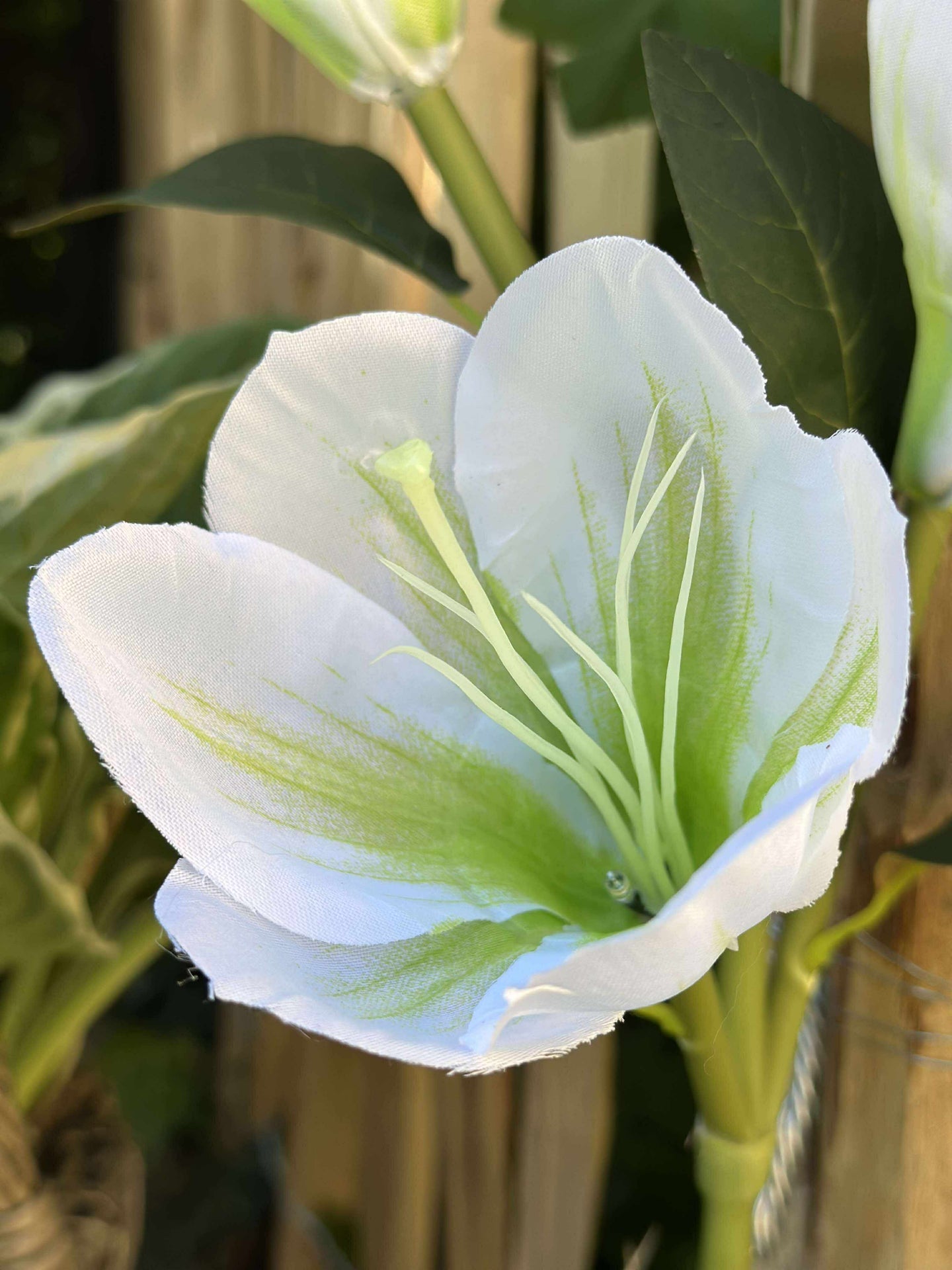 Magnolia med solceller - Hvit