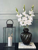 Gladiolus stilk