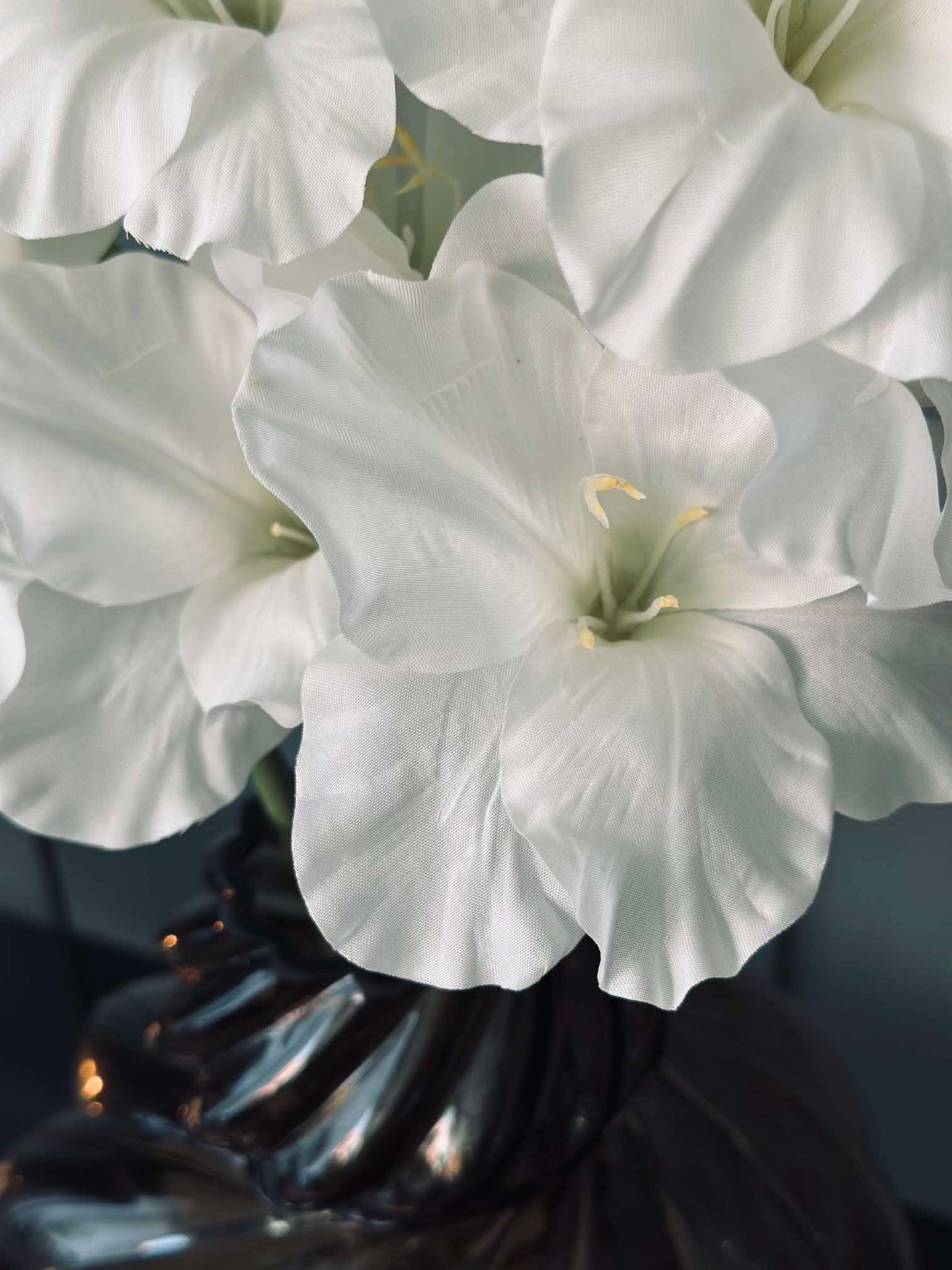 Gladiolus stilk