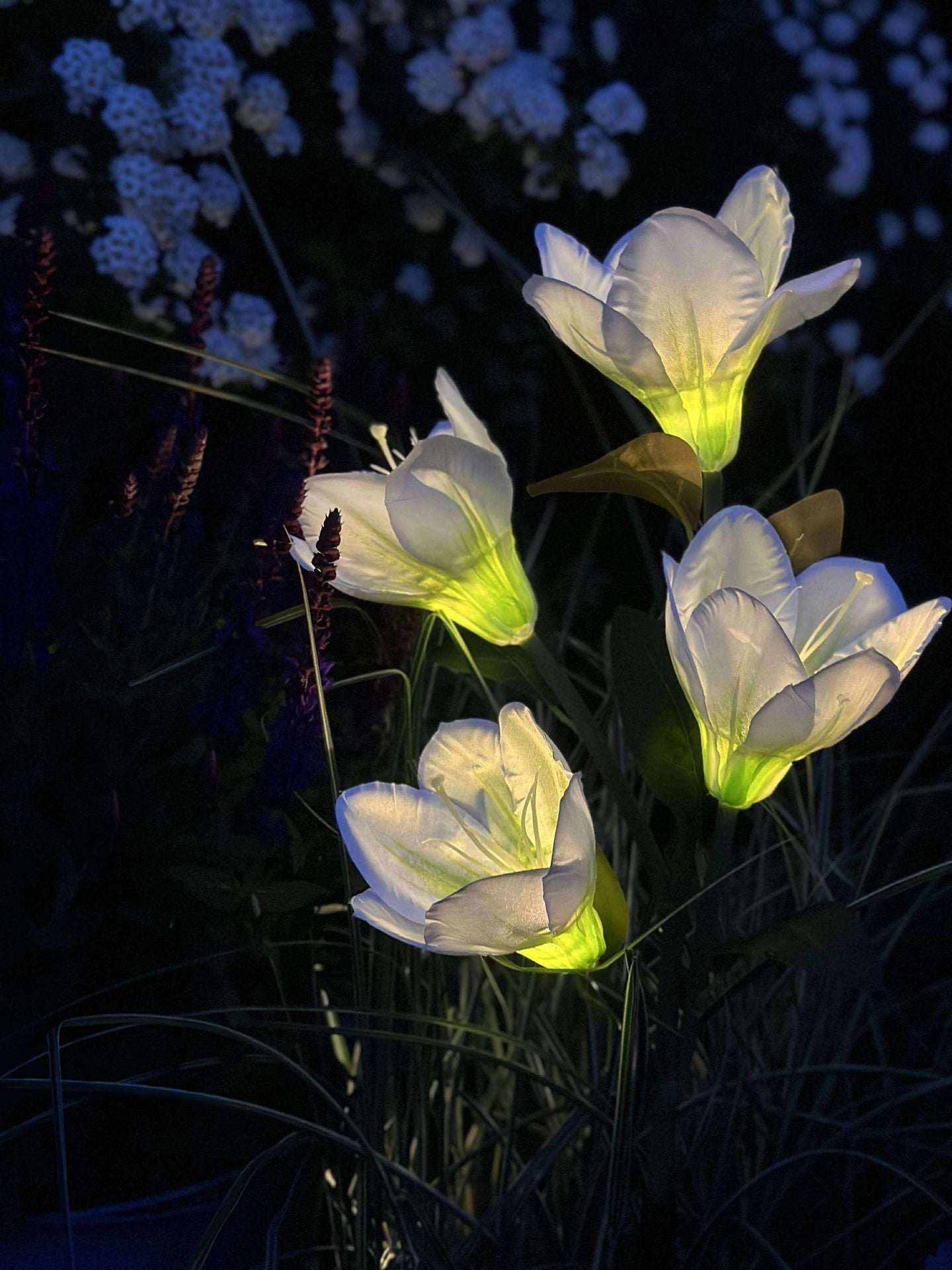 Magnolia med solceller - Hvit