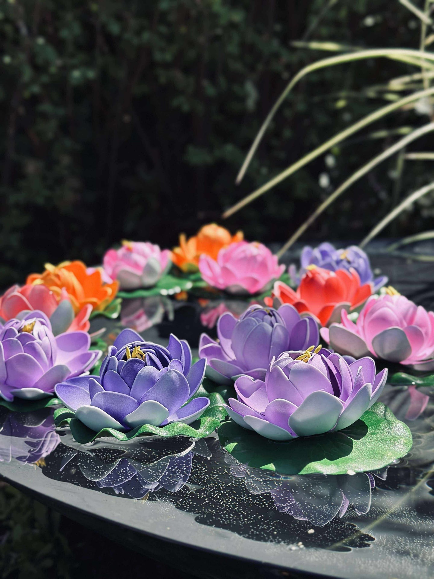 Lotus - Flere farger