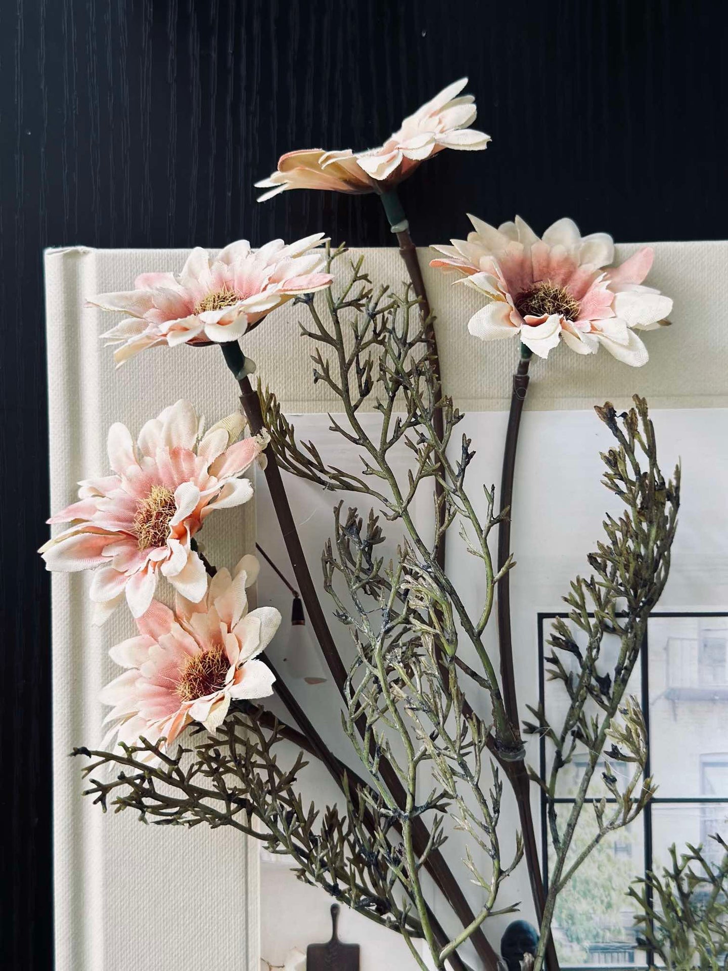 Krysantemum stilk