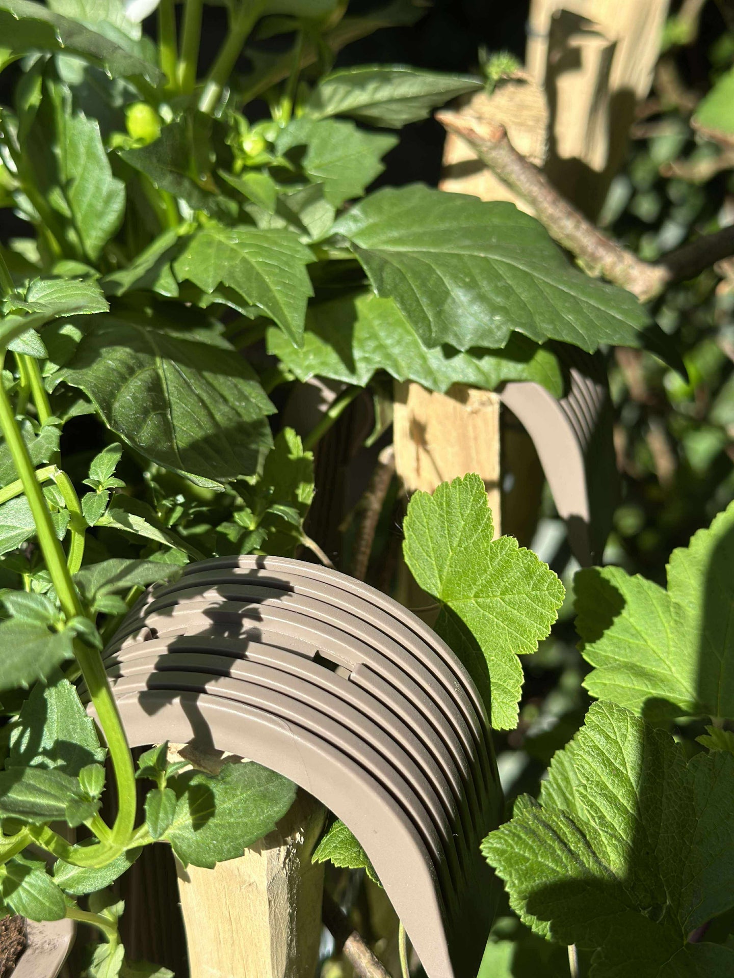Plantekasse med oppheng - Beige