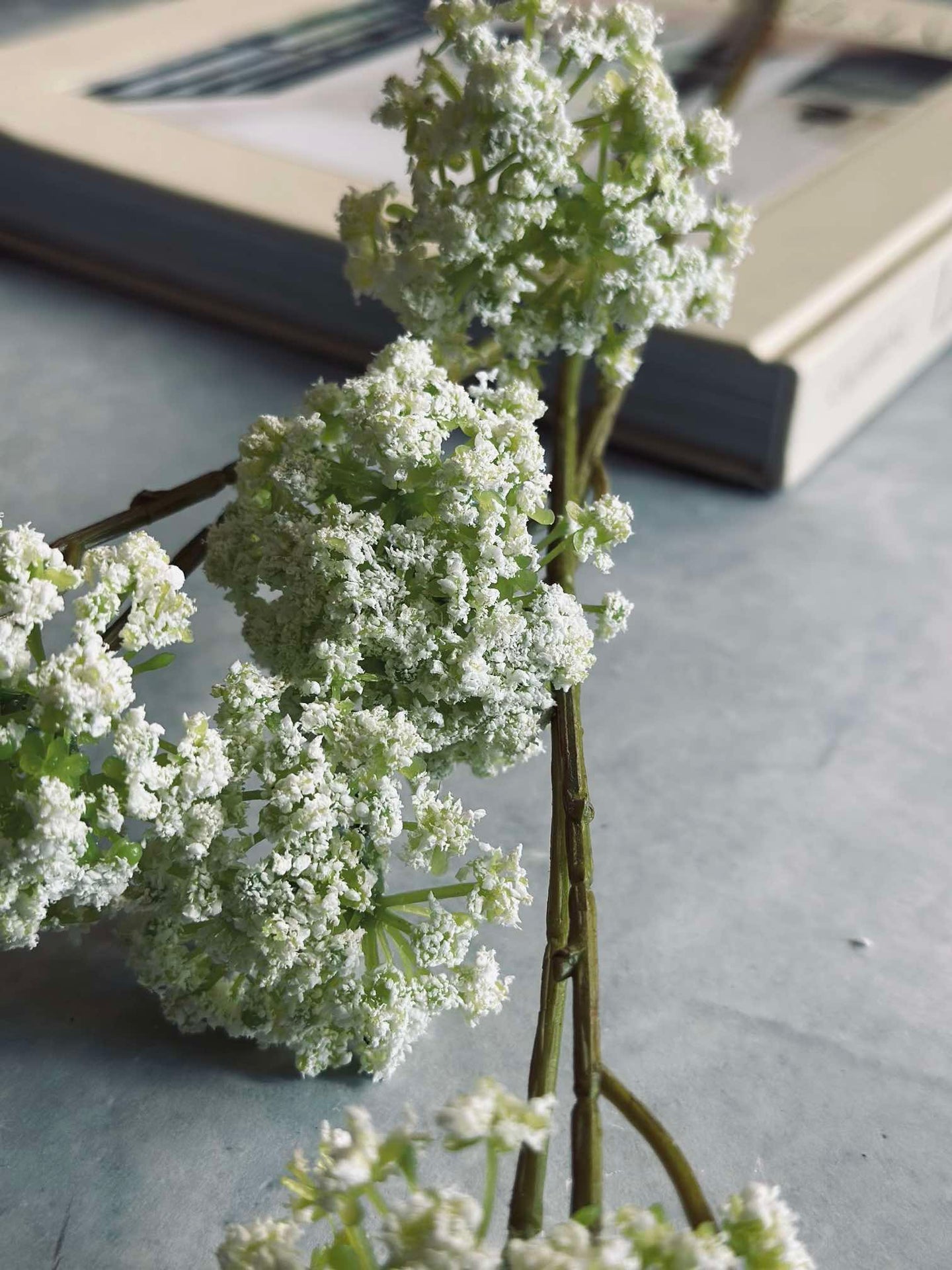 Wild flower stilk