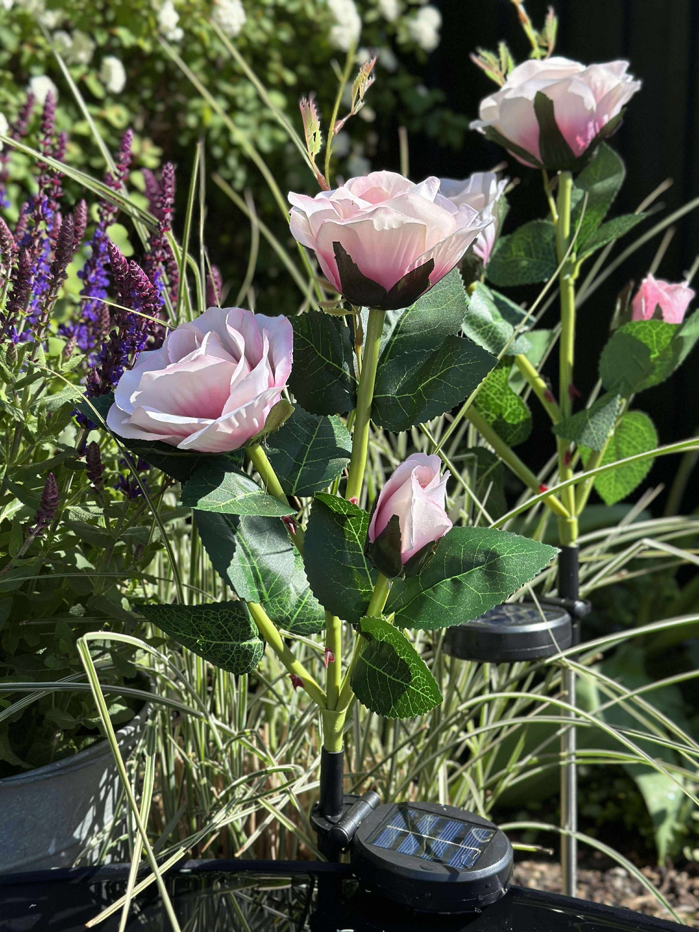 Rose med solceller - Rosa
