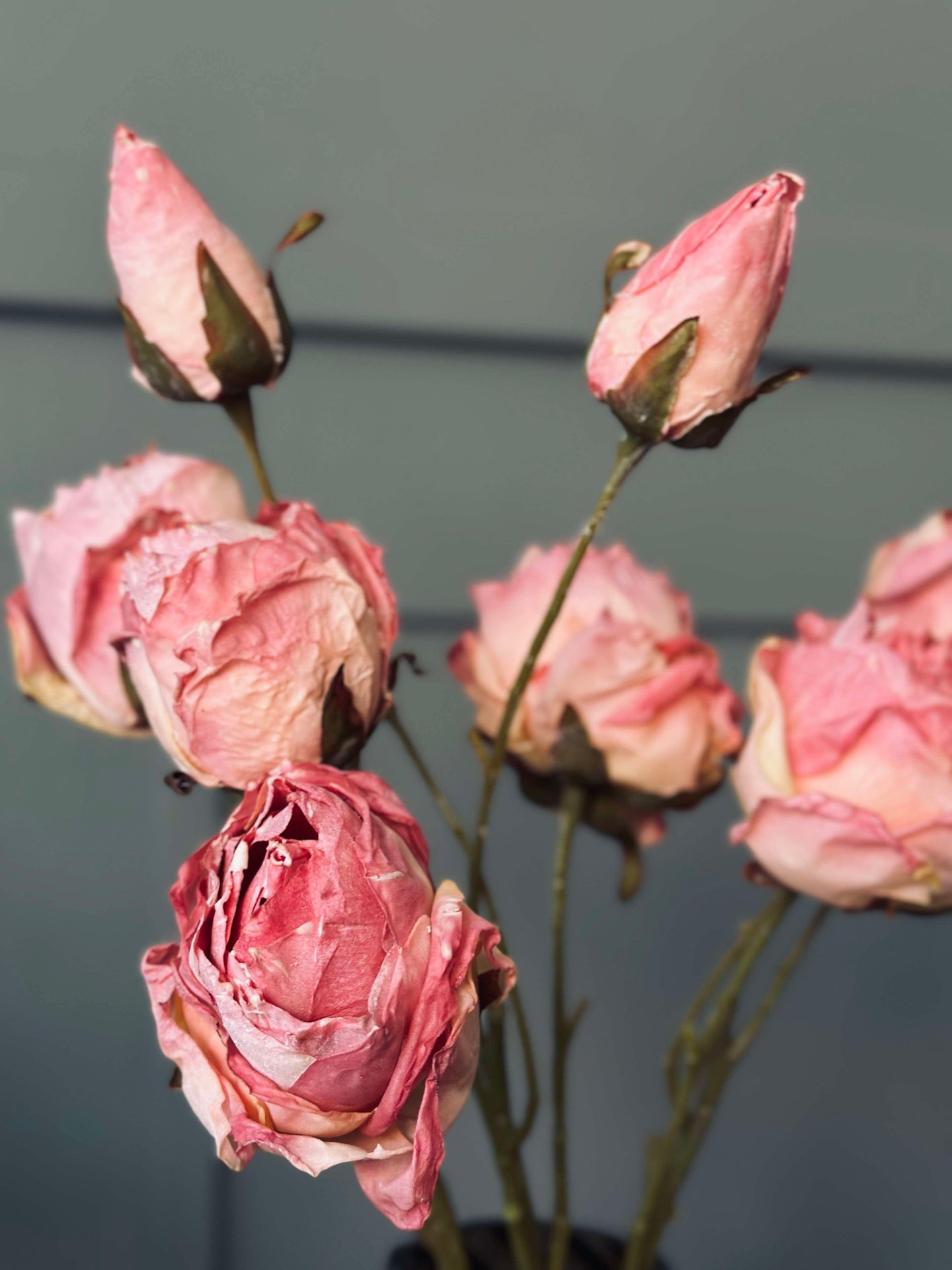Rosestilk