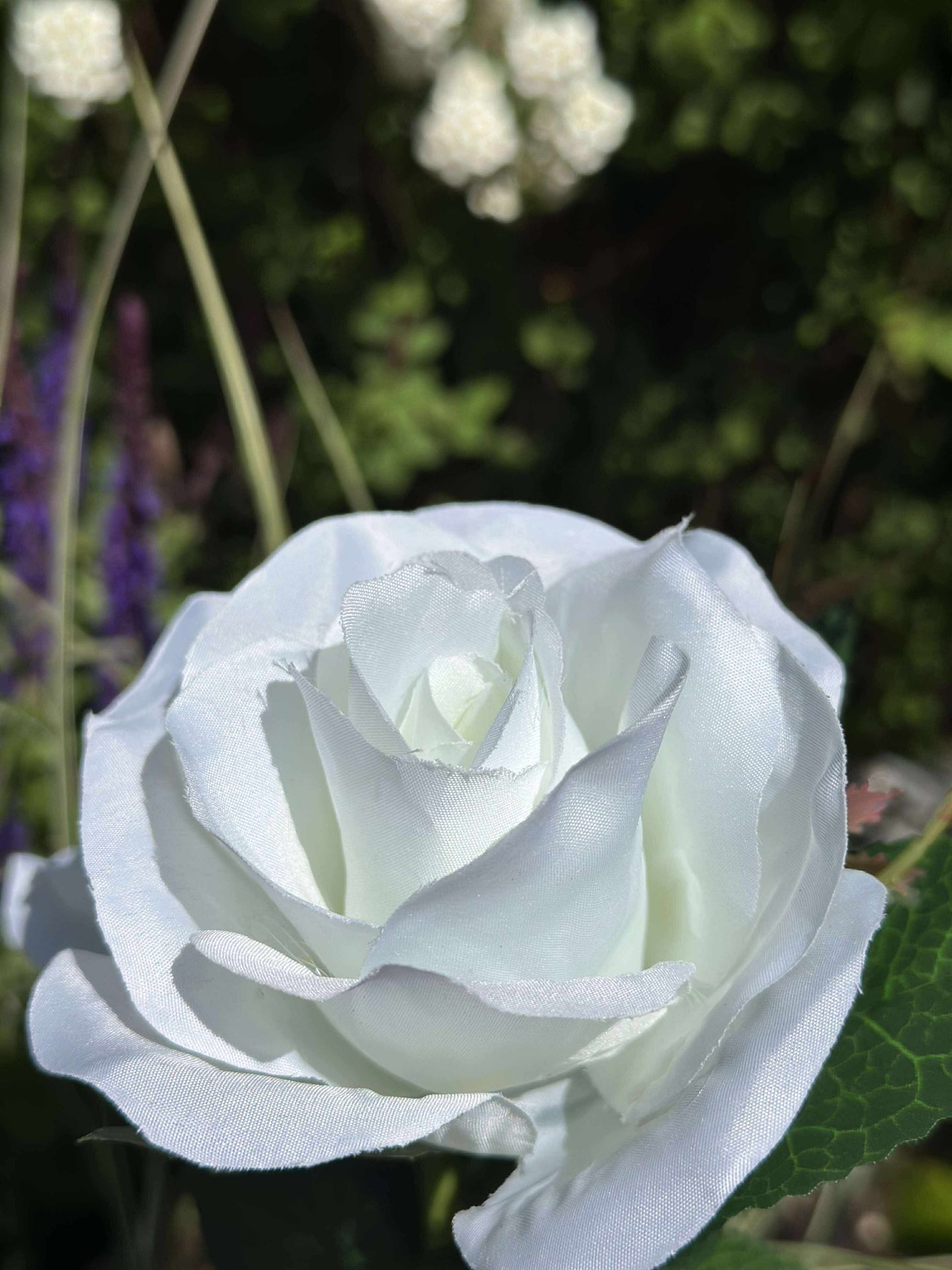 Rose med solceller - Hvit