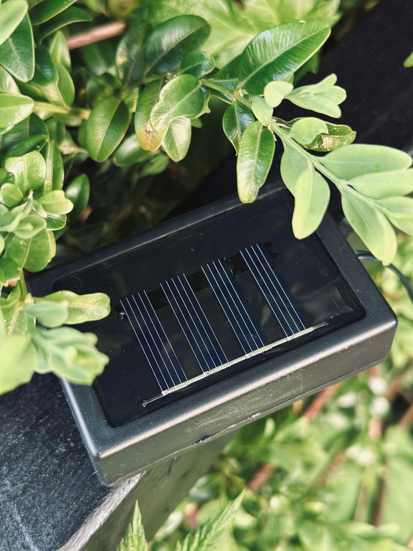 Lyskjede COLOR med solceller
