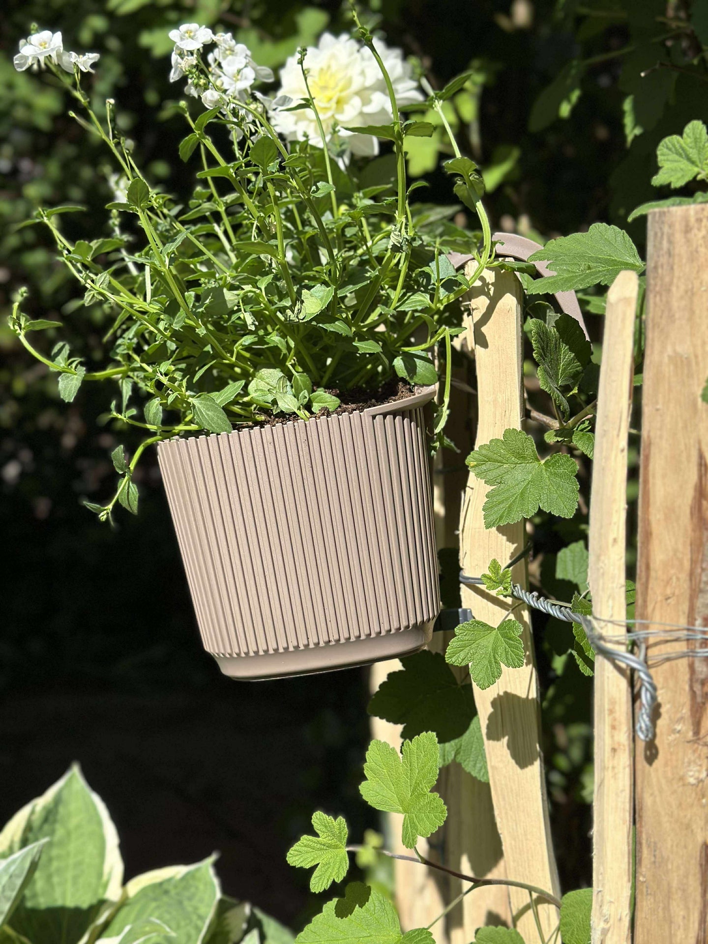 Plantekasse med oppheng - Beige