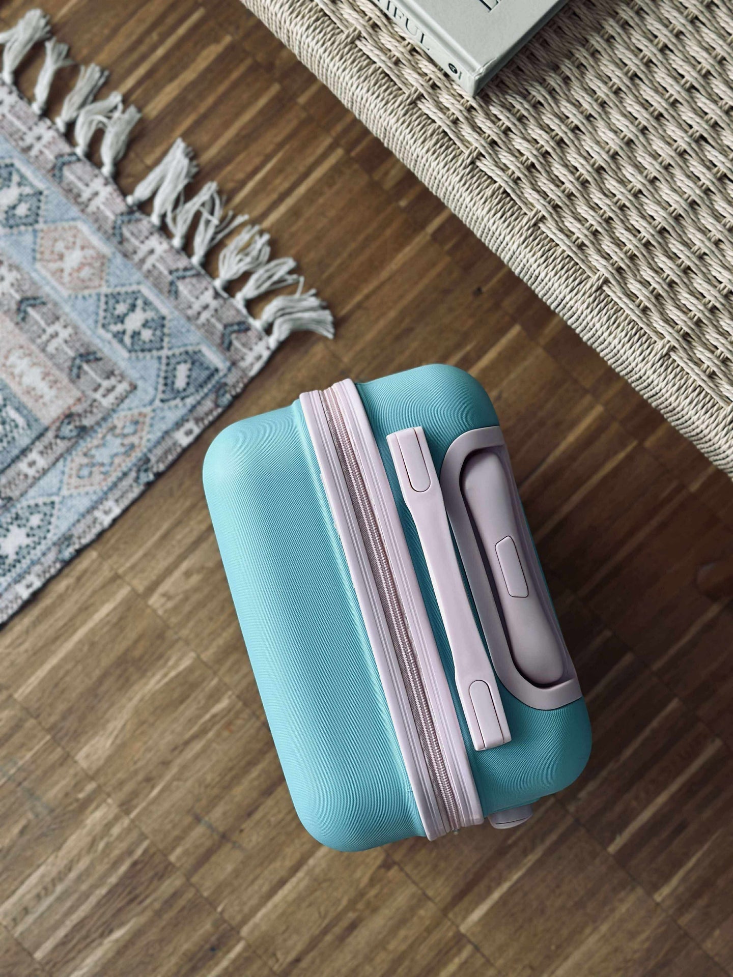 Trolley Koffert - MINT