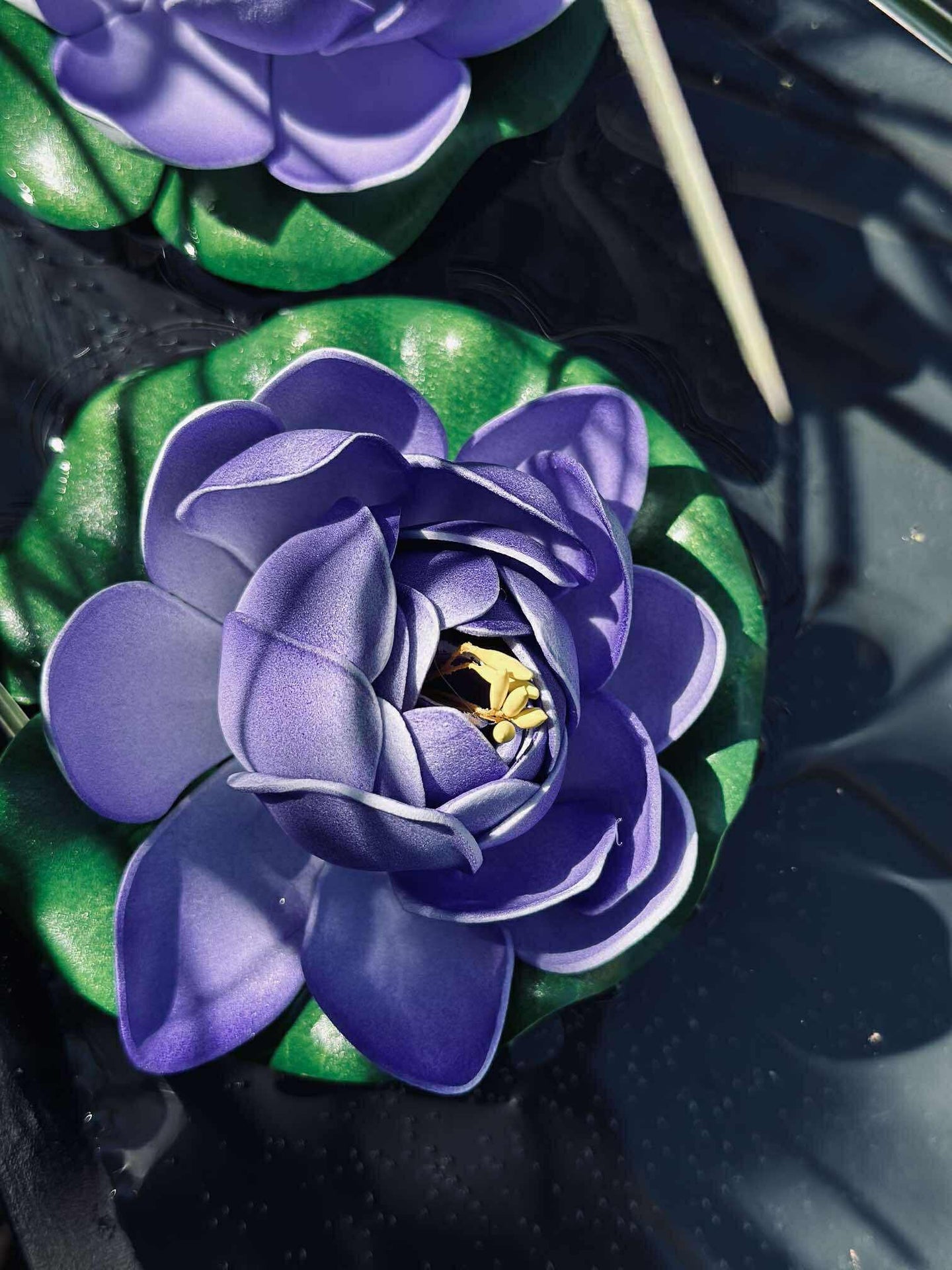 Lotus - Flere farger