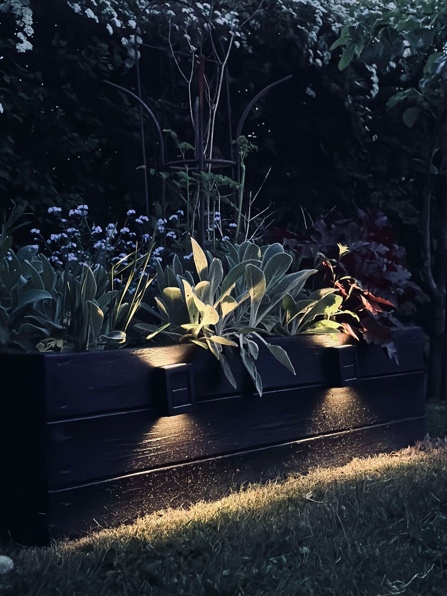 Aura Solar Lampe - 2-pak