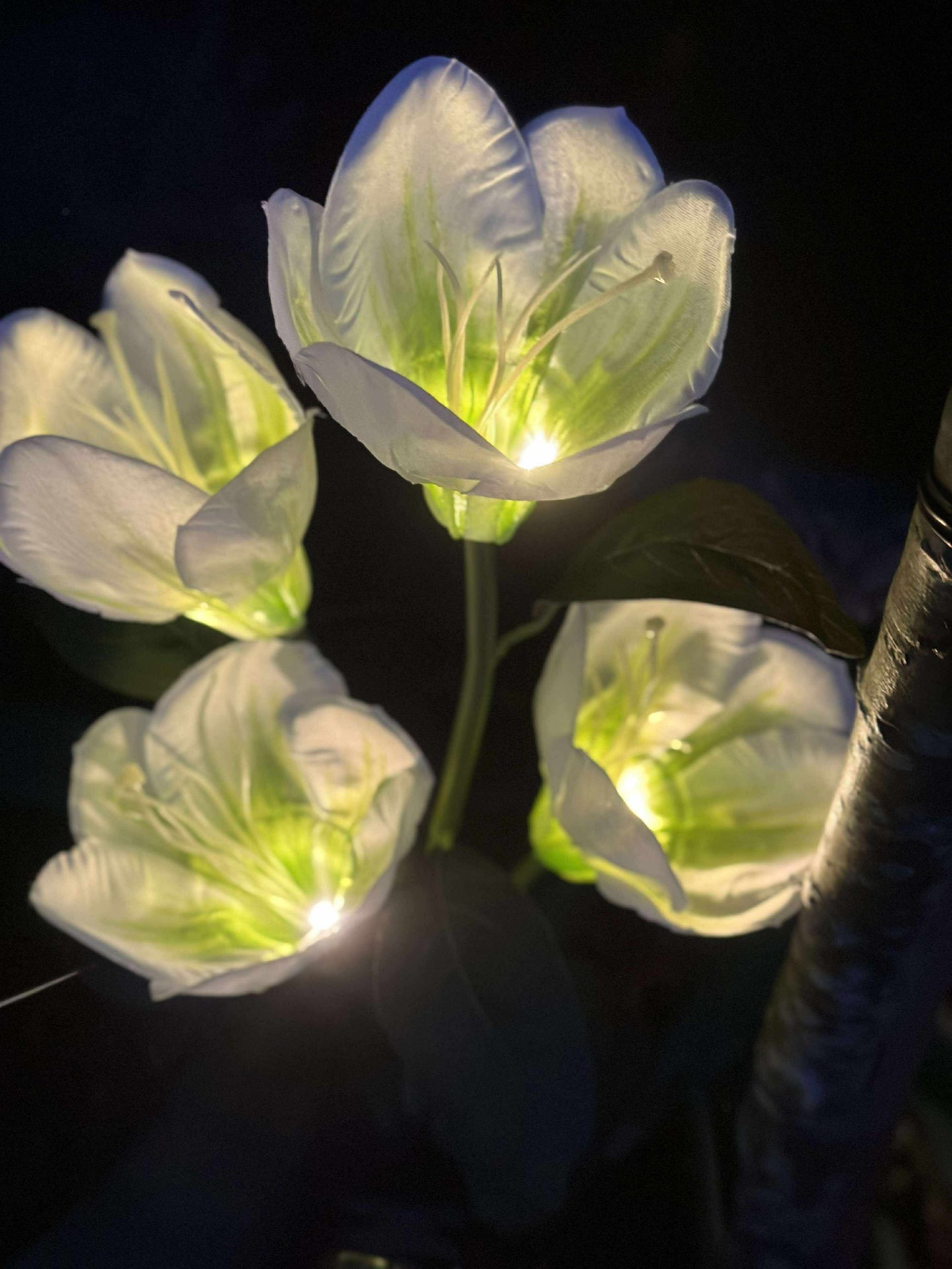 Magnolia med solceller - Hvit