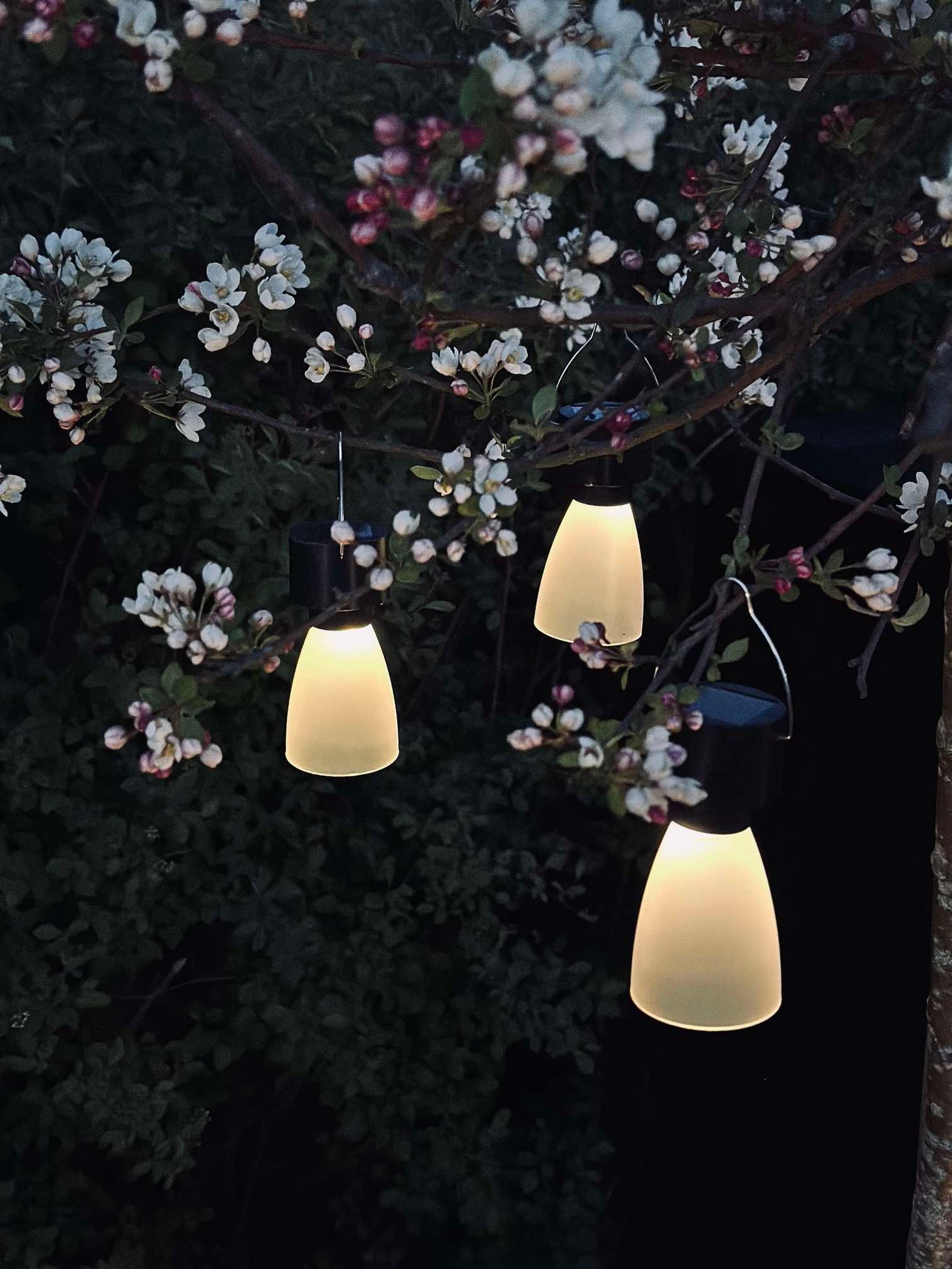 Mini lampe med solcelle