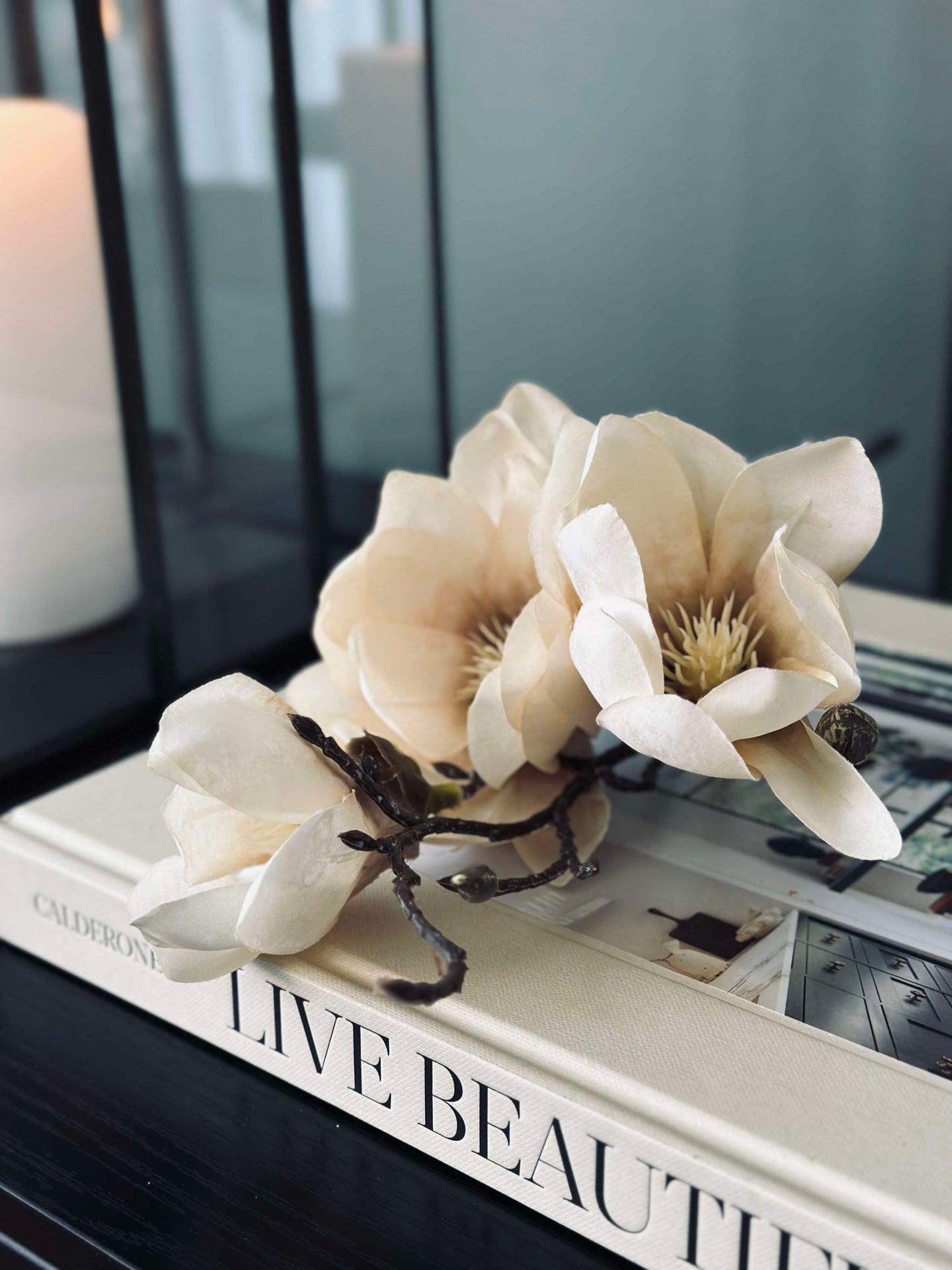 Magnolia stilk