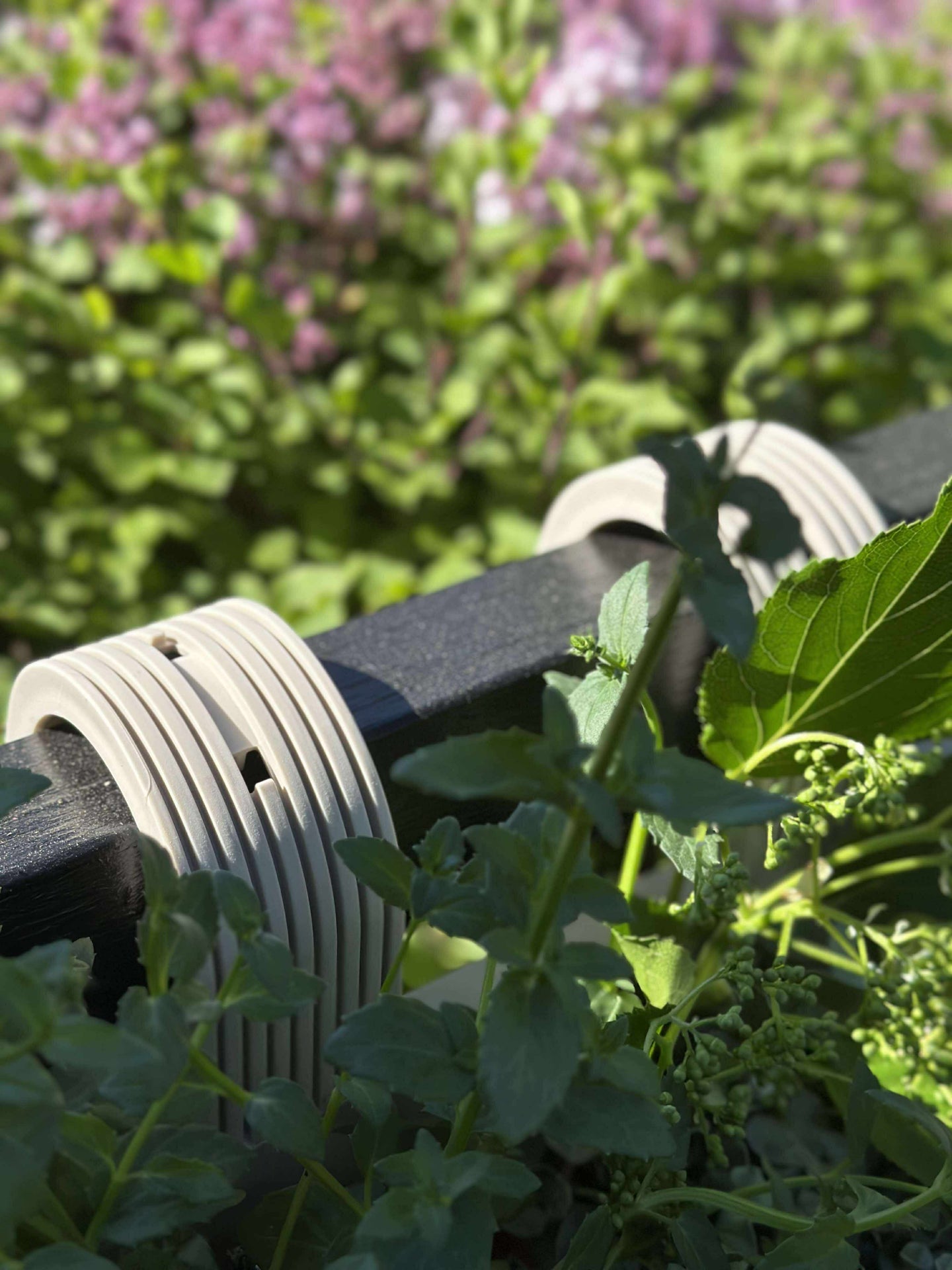 Plantekasse med oppheng – Krem