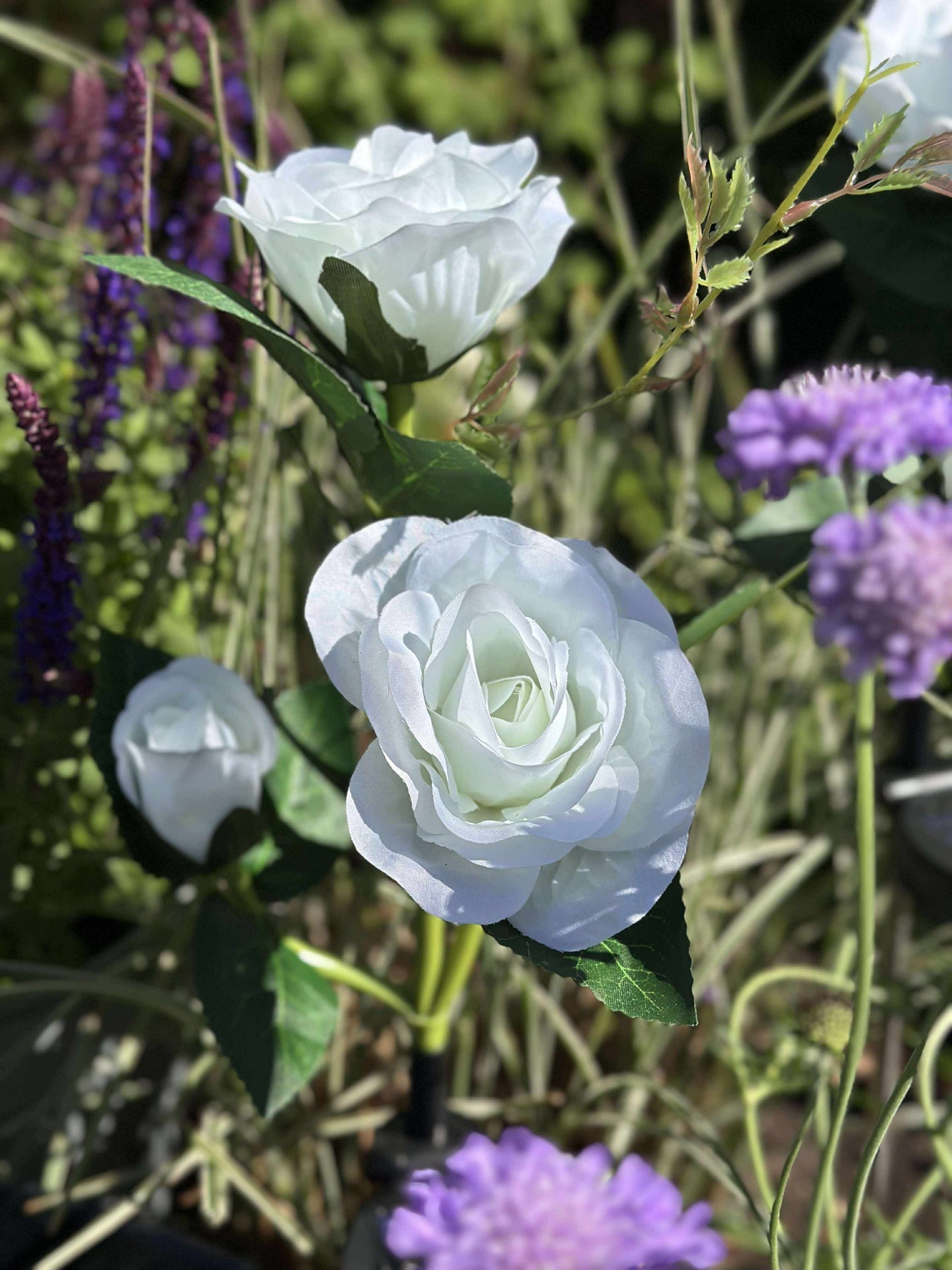 Rose med solceller - Hvit