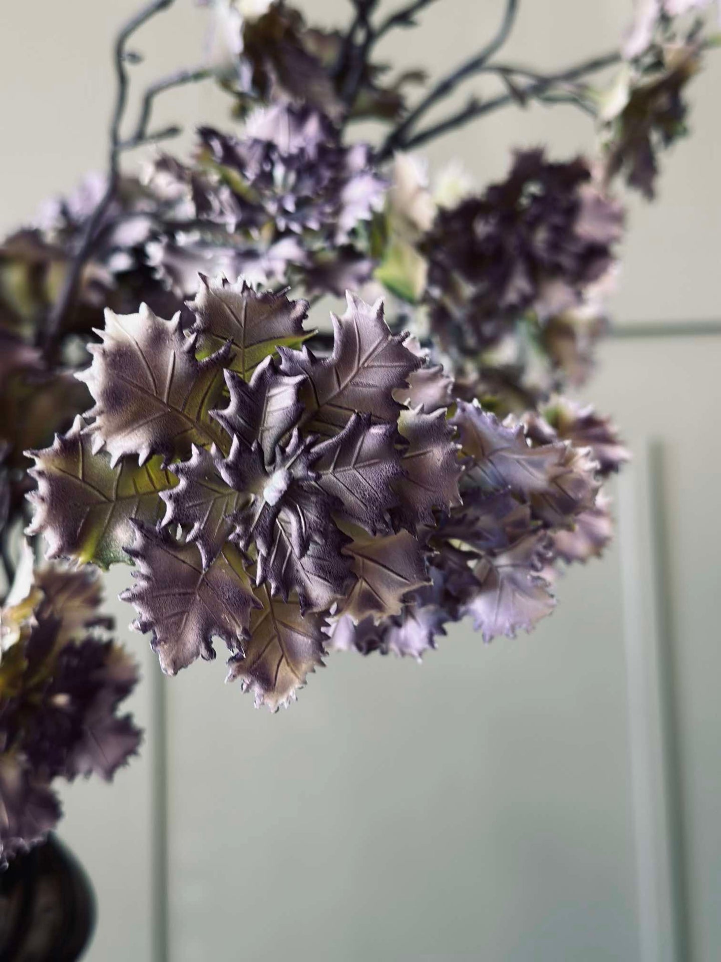 Blomst nellike