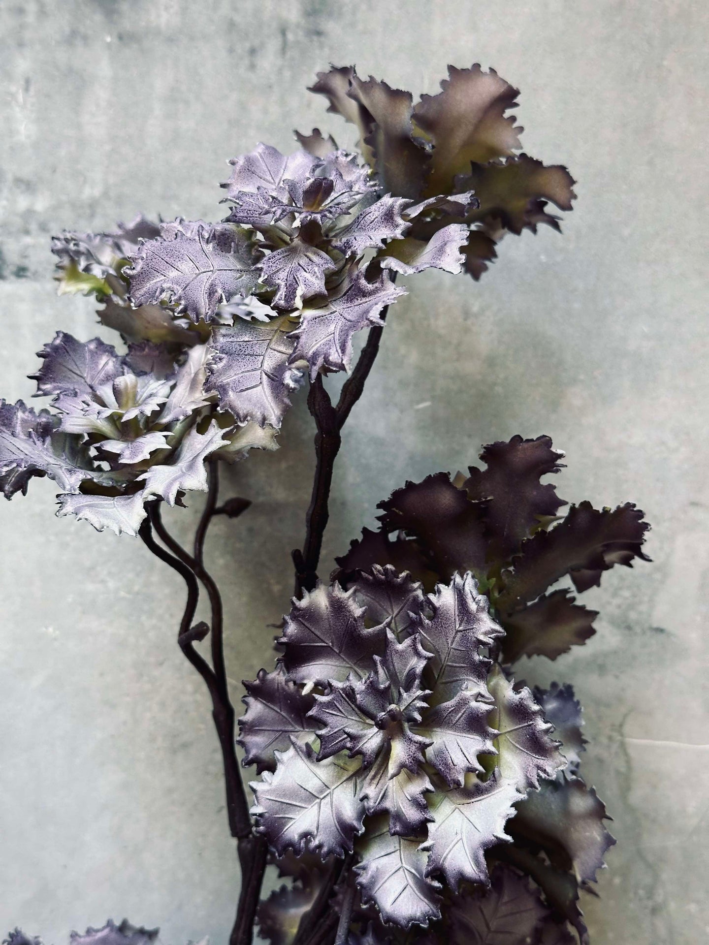Blomst nellike