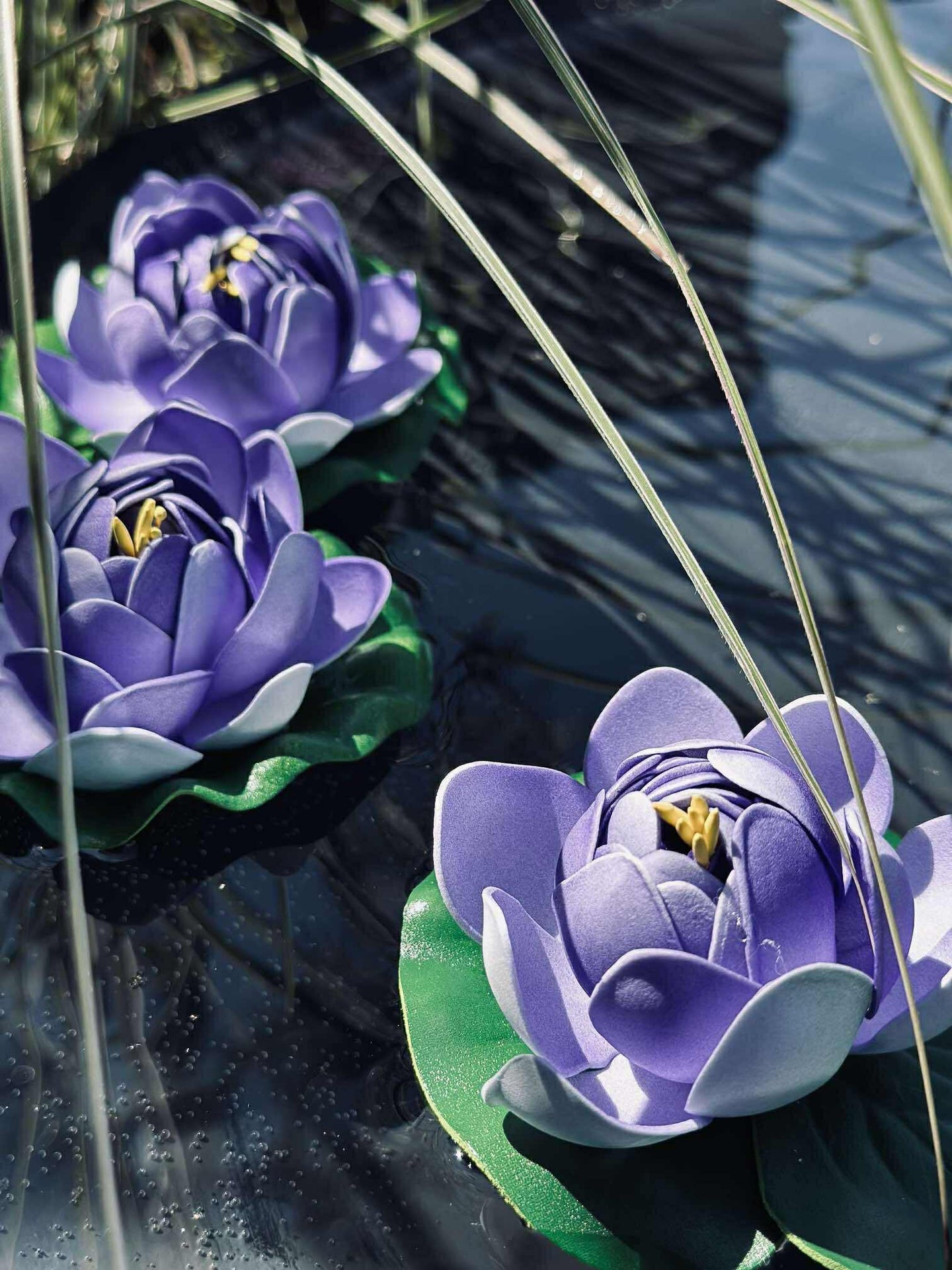 Lotus - Flere farger