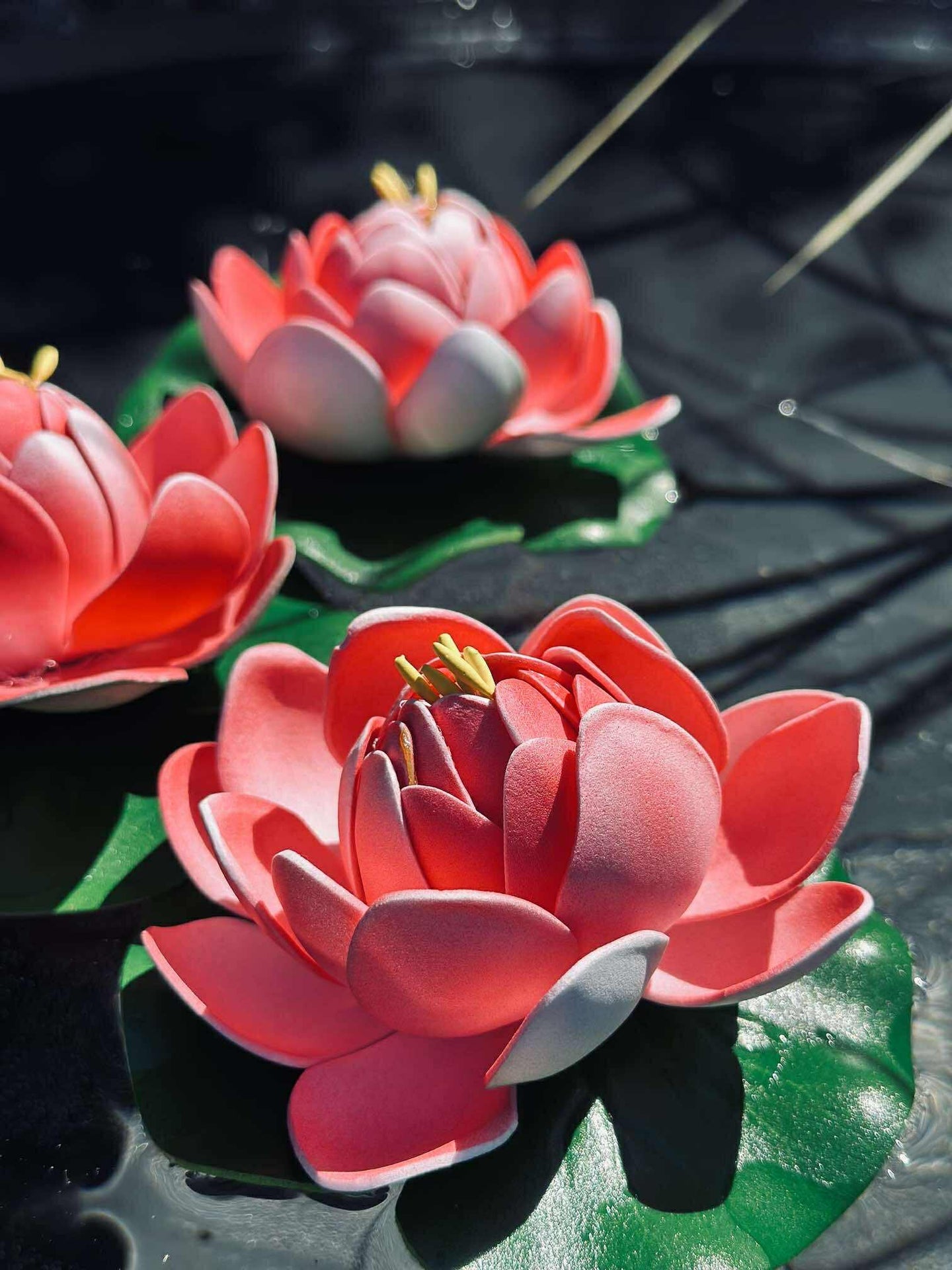 Lotus - Flere farger