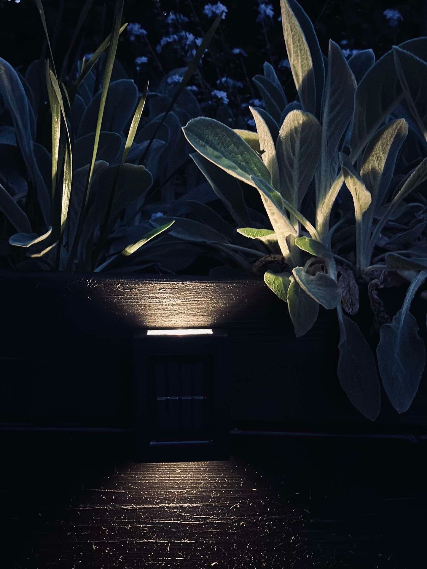Aura Solar Lampe - 2-pak