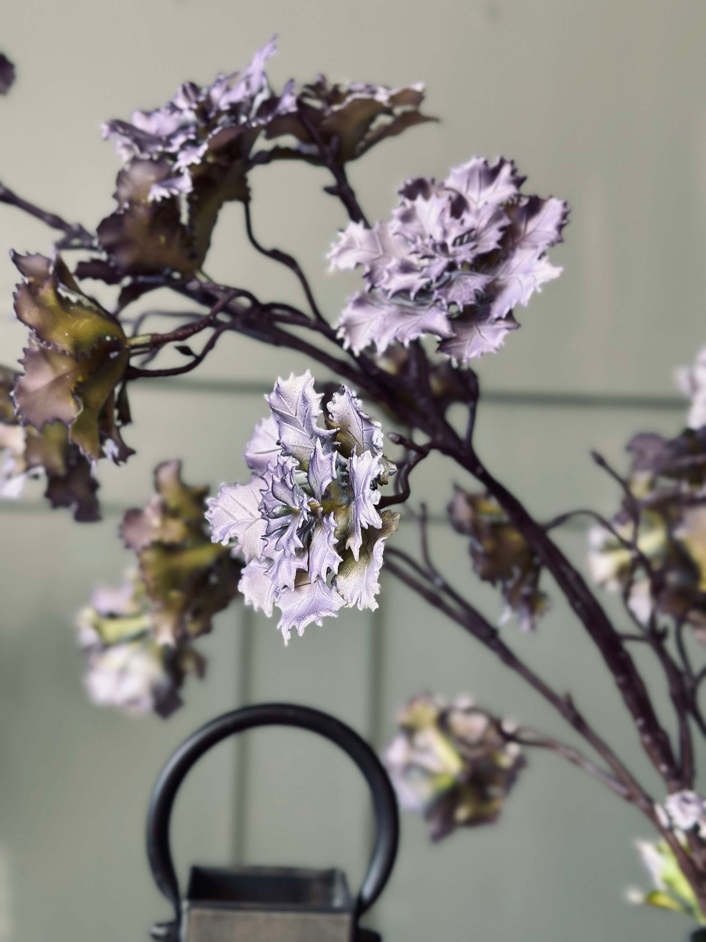 Blomst nellik