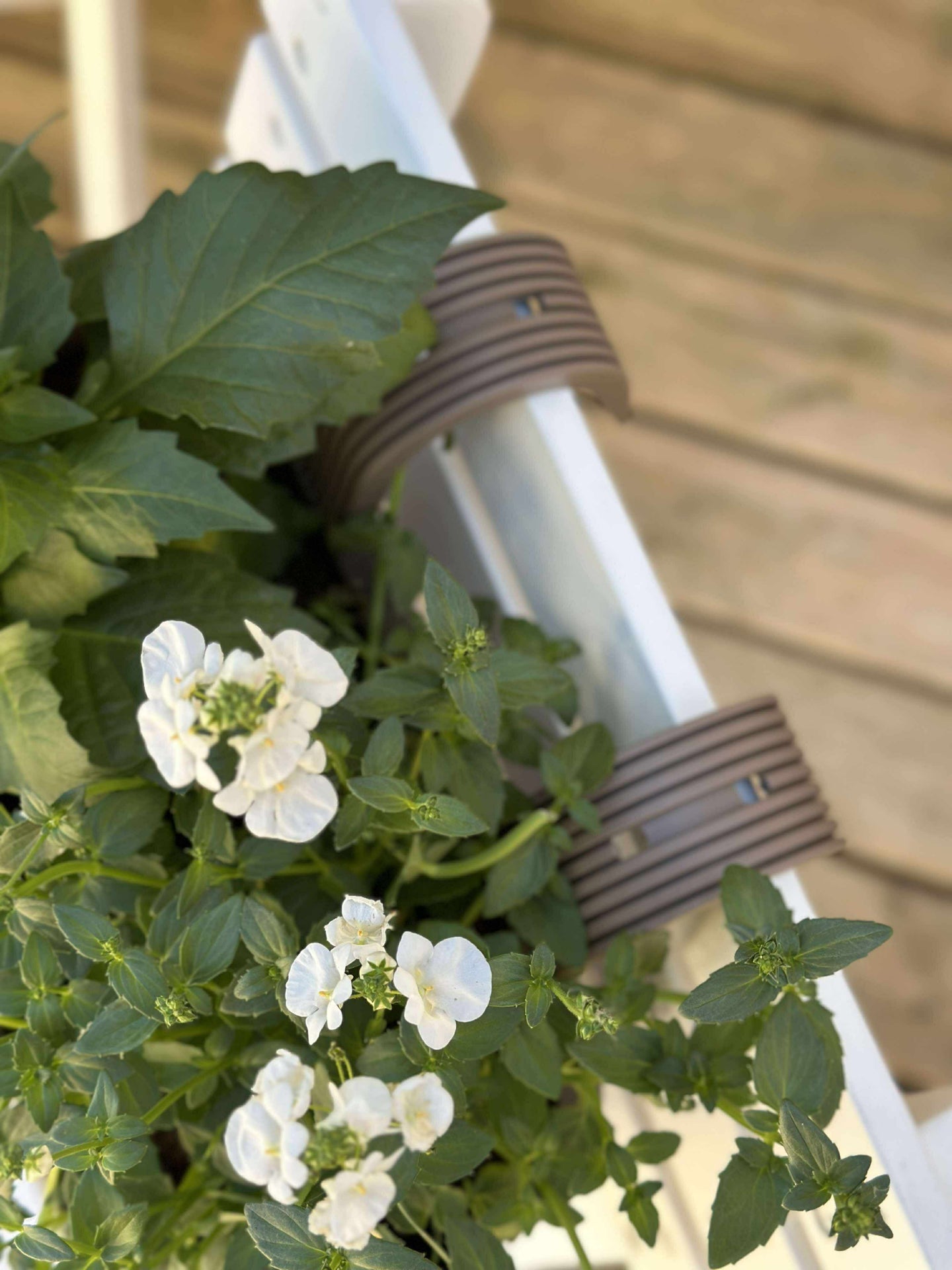 Plantekasse med oppheng - Beige